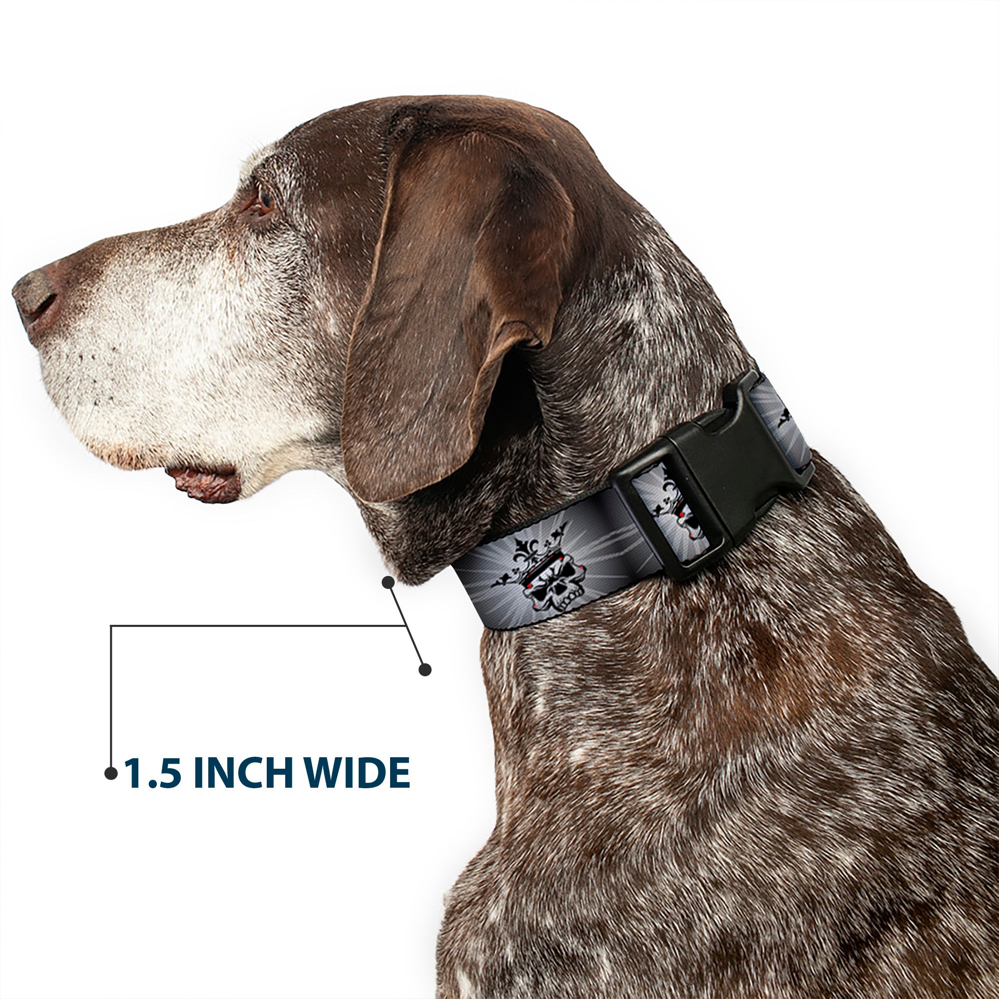 Plastic Clip Collar - King Skull Blocks/Rays Grays Plastic Clip Collars Buckle-Down