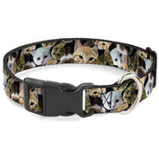 Plastic Clip Collar - Kitten Faces Scattered Black Plastic Clip Collars Buckle-Down
