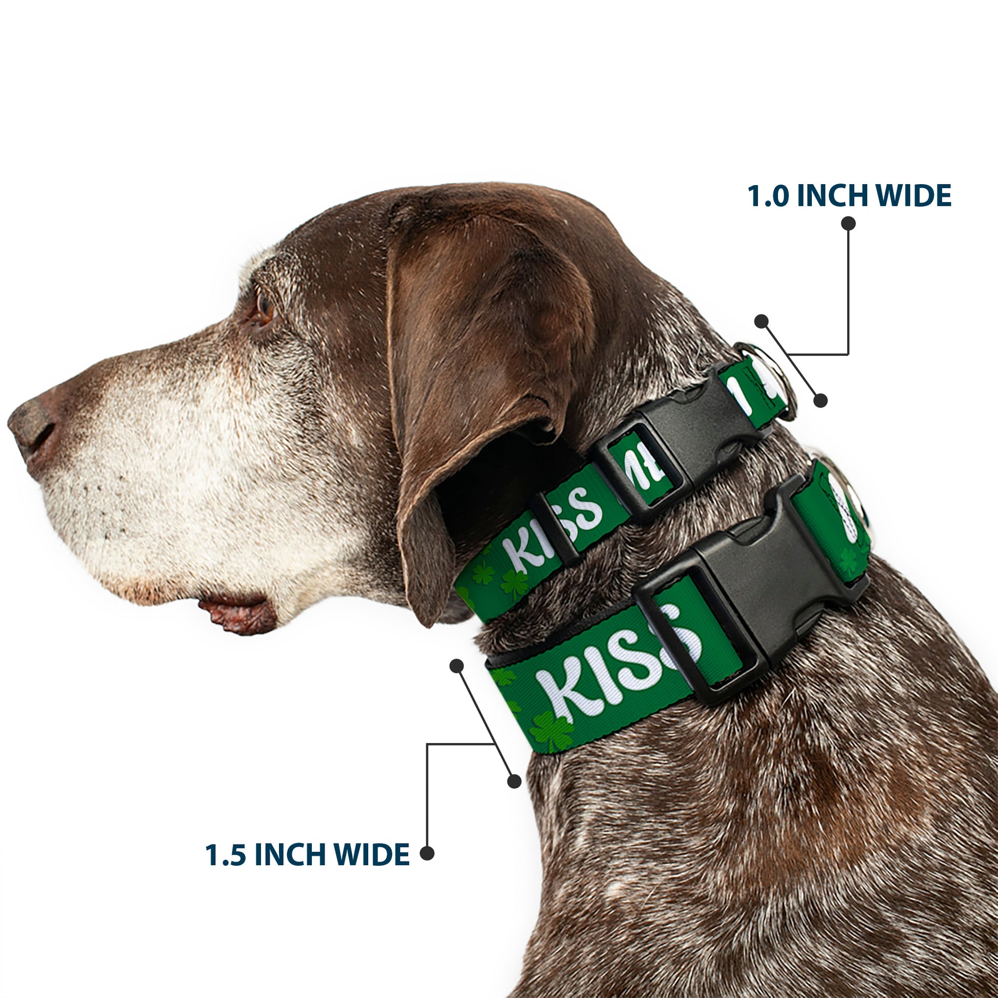 Plastic Clip Collar - KISS ME, I'M IRISH! Clovers Green/White Plastic Clip Collars Buckle-Down