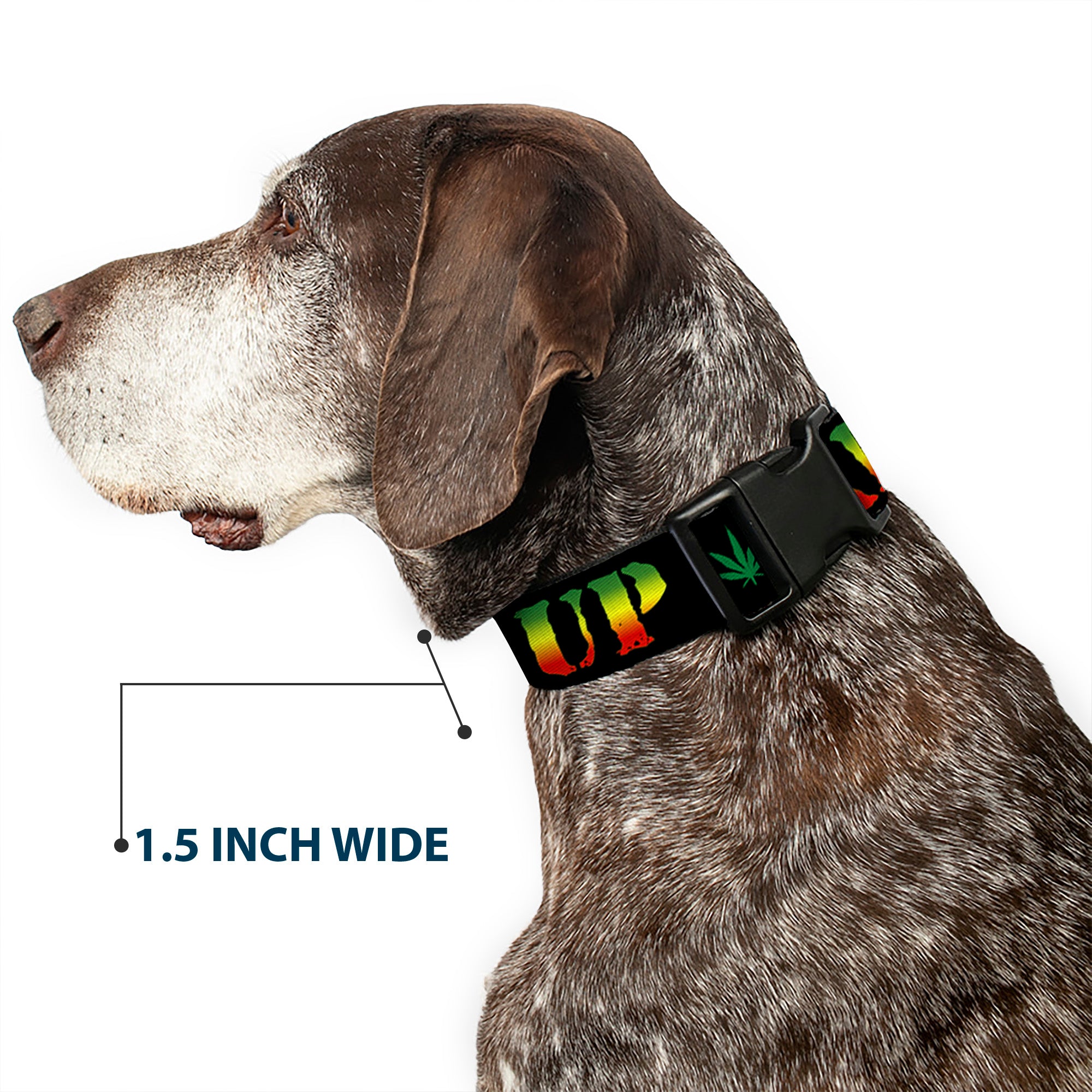 Buckle-Down Plastic Buckle Dog Collar - KEEP CALM AND SMOKE UP Black/Rasta Plastic Clip Collars Buckle-Down