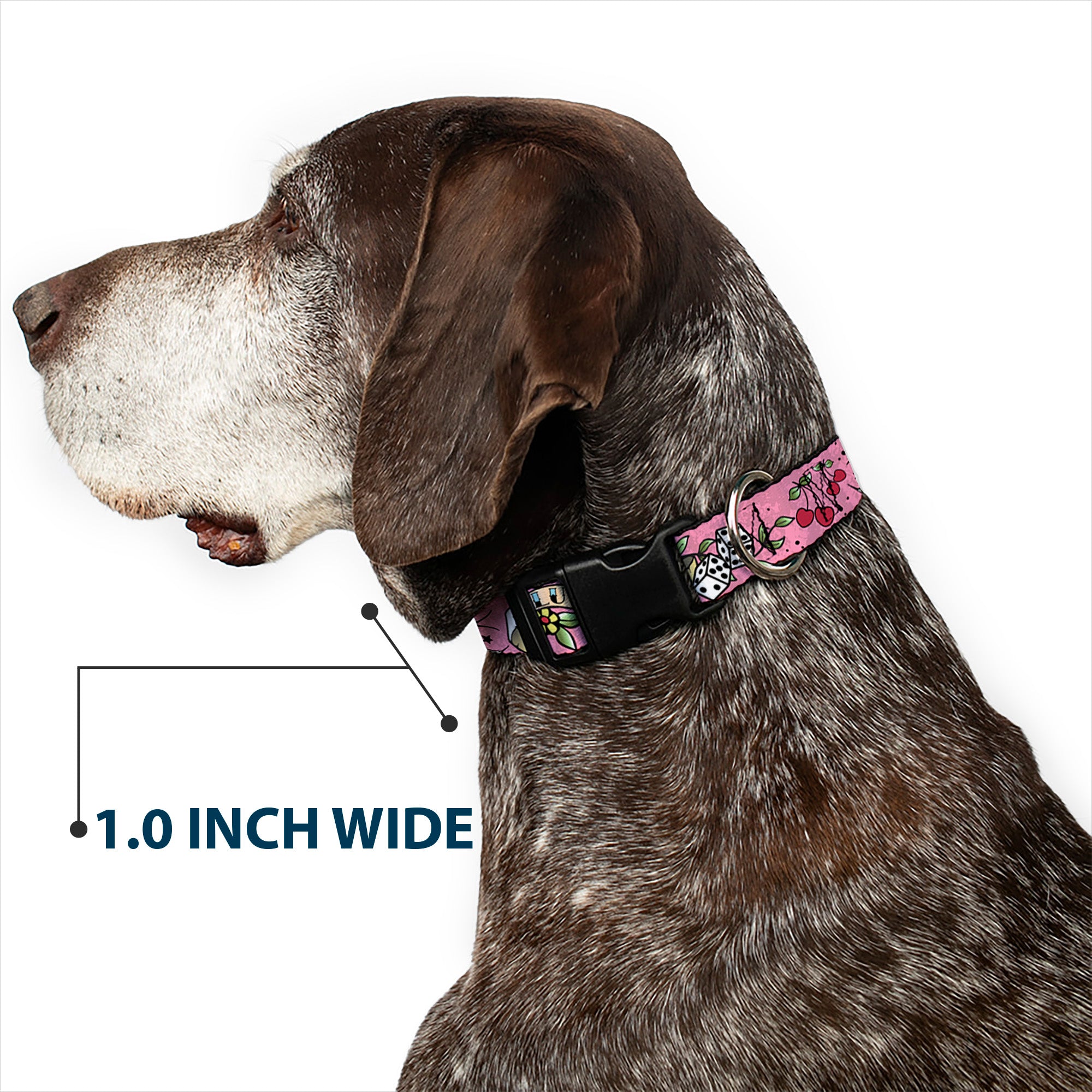 Plastic Clip Collar - Lucky Pink Plastic Clip Collars Buckle-Down