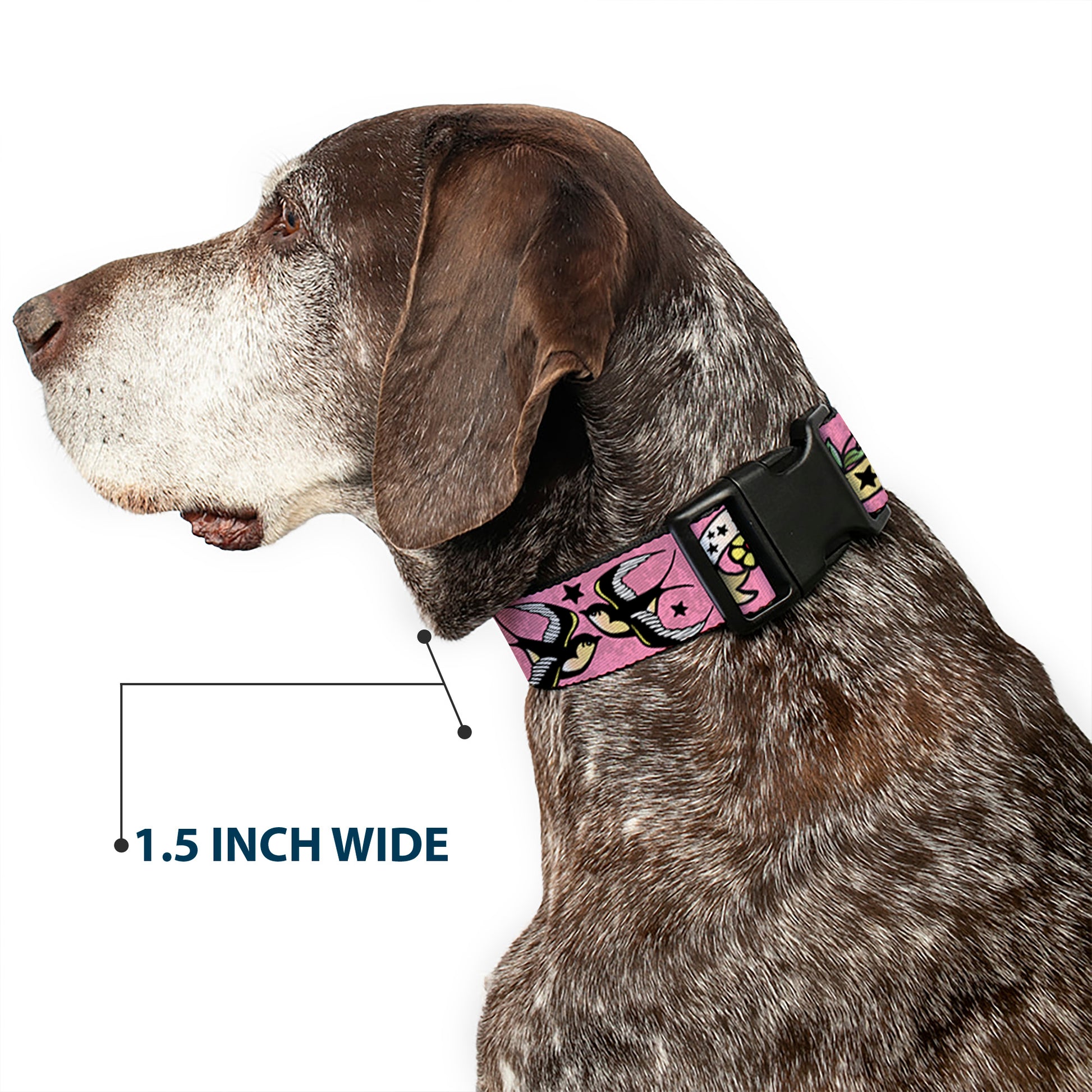 Plastic Clip Collar - Lucky Pink Plastic Clip Collars Buckle-Down