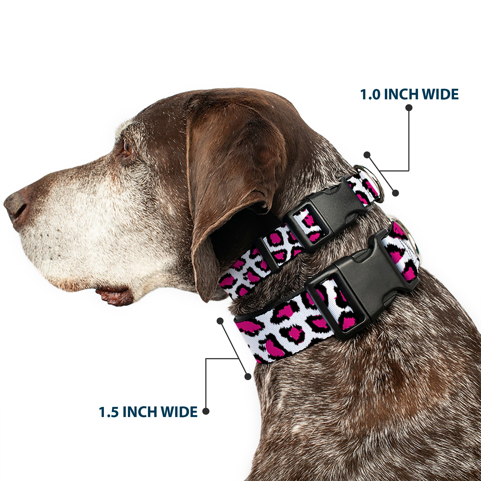 Plastic Clip Collar - Leopard White/Fuchsia Plastic Clip Collars Buckle-Down