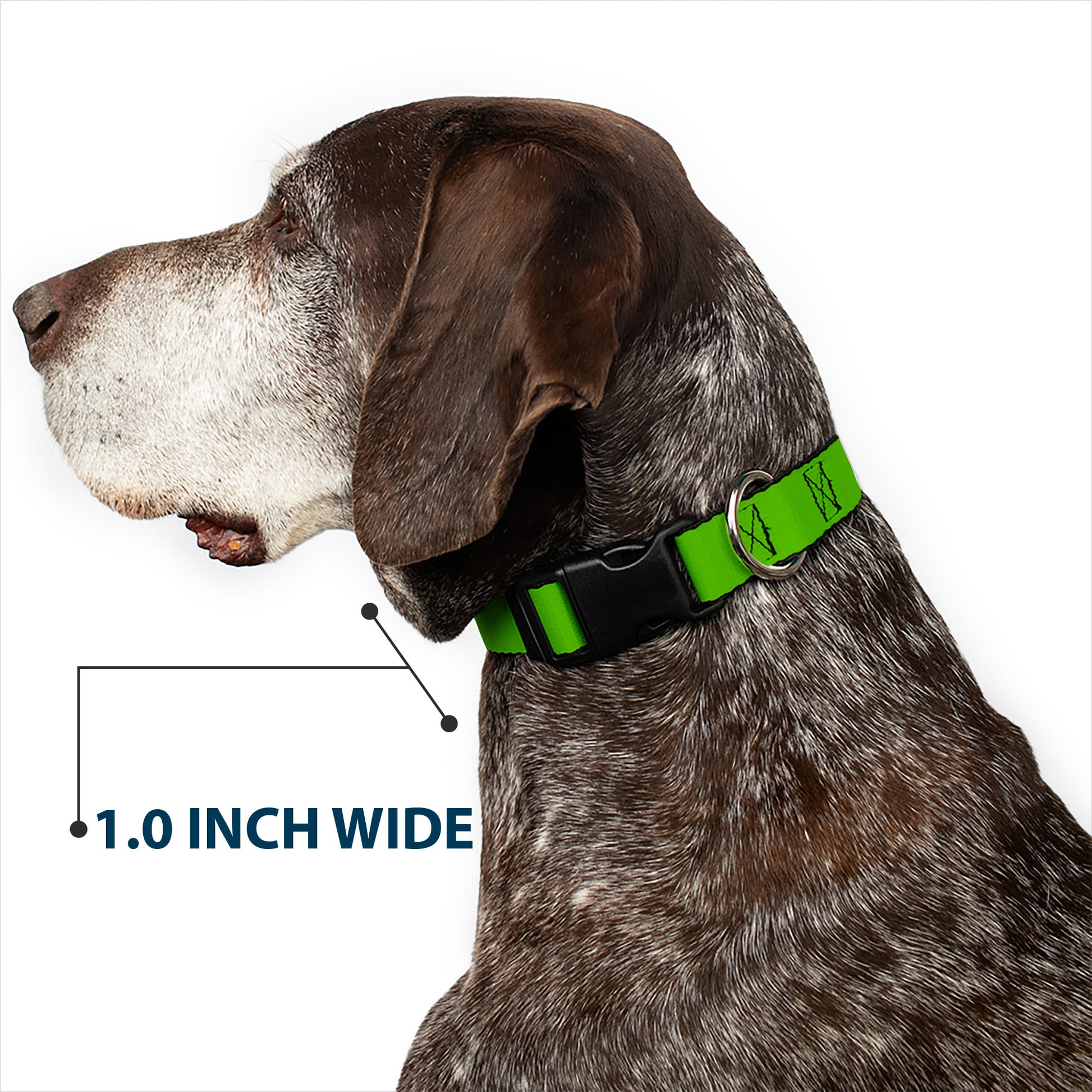 Plastic Clip Collar - Lime Green Plastic Clip Collars Buckle-Down