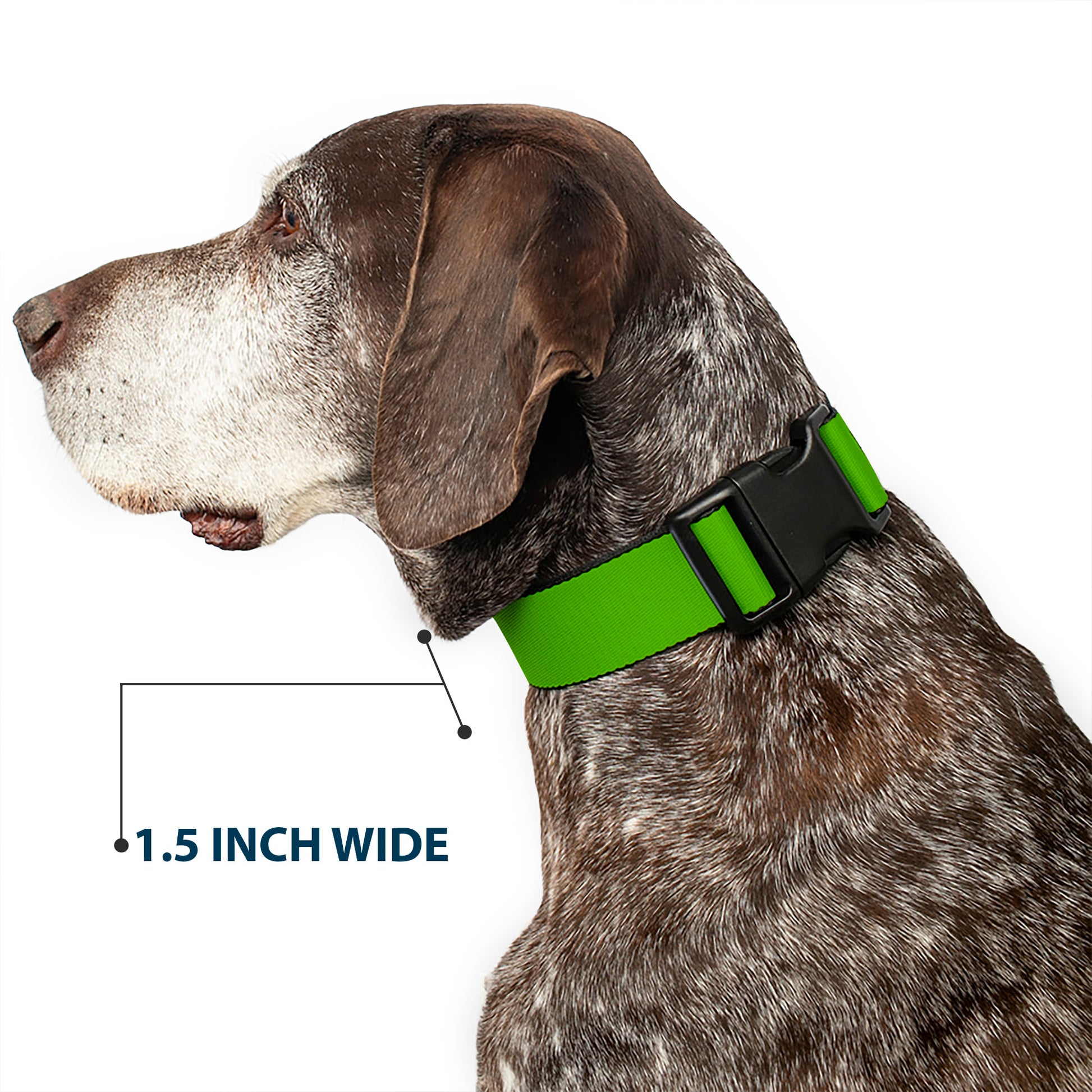 Plastic Clip Collar - Lime Green Plastic Clip Collars Buckle-Down