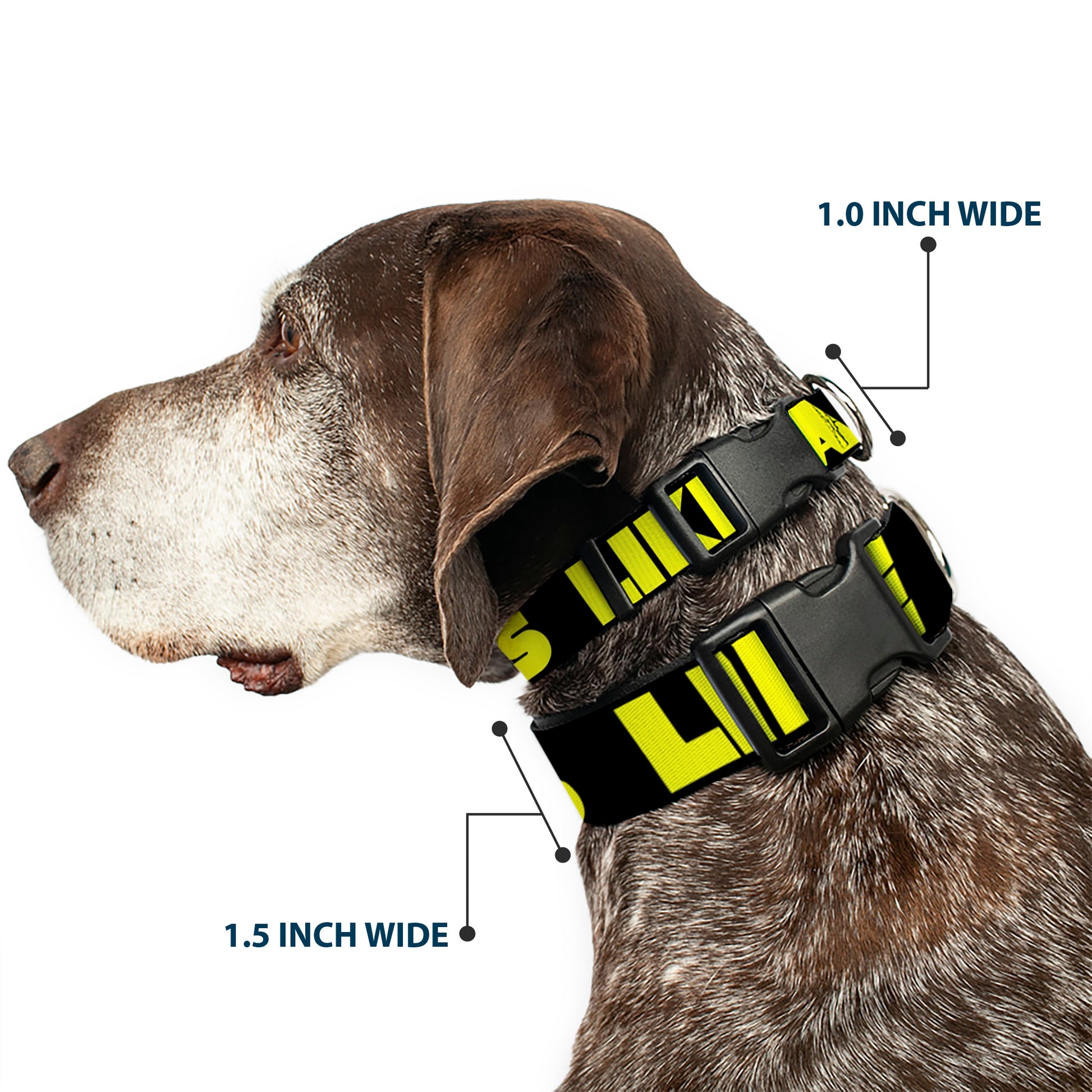 Plastic Clip Collar - LIKE A BOSS Black/Yellow Plastic Clip Collars Buckle-Down