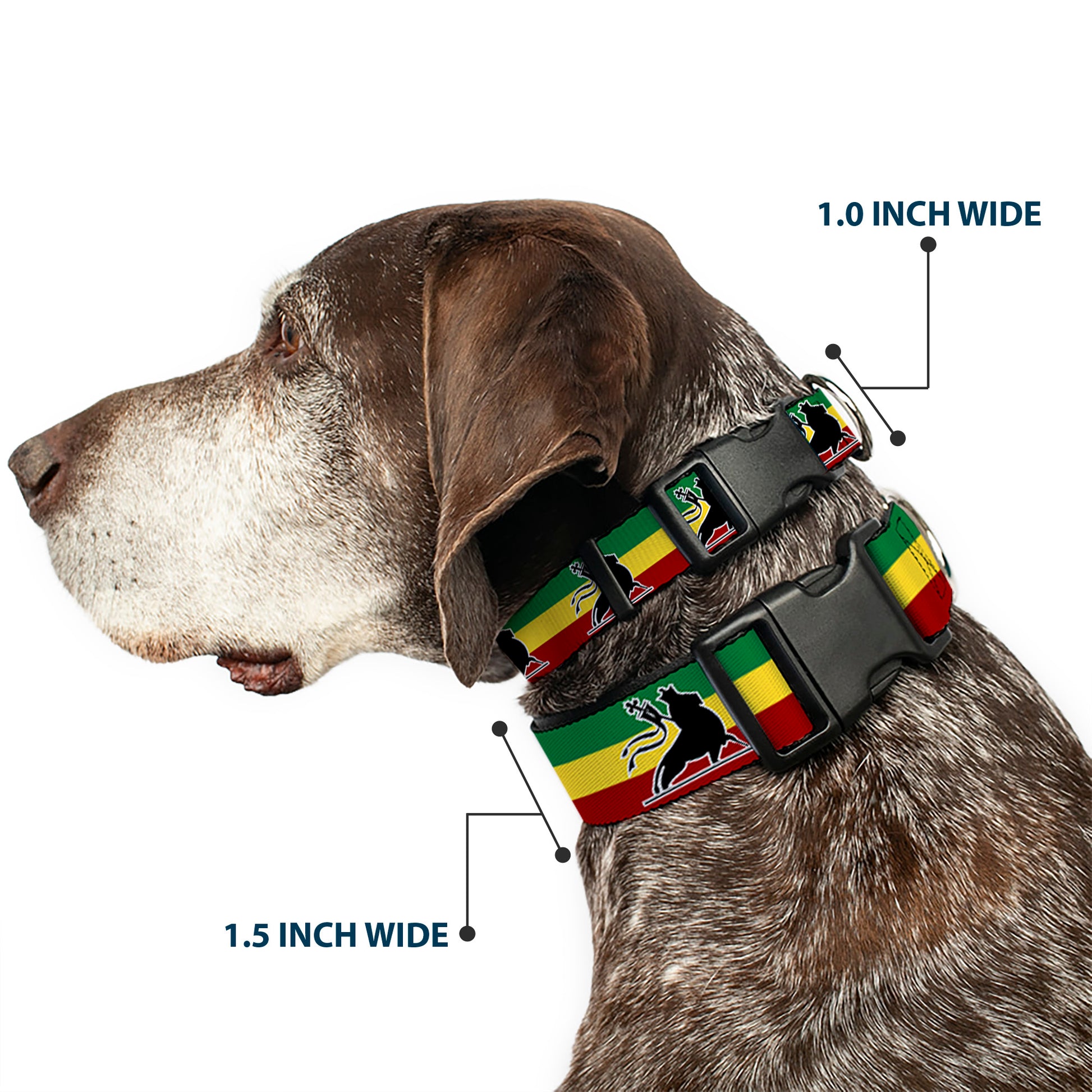 Plastic Clip Collar - Lion of Zion Repeat Plastic Clip Collars Buckle-Down