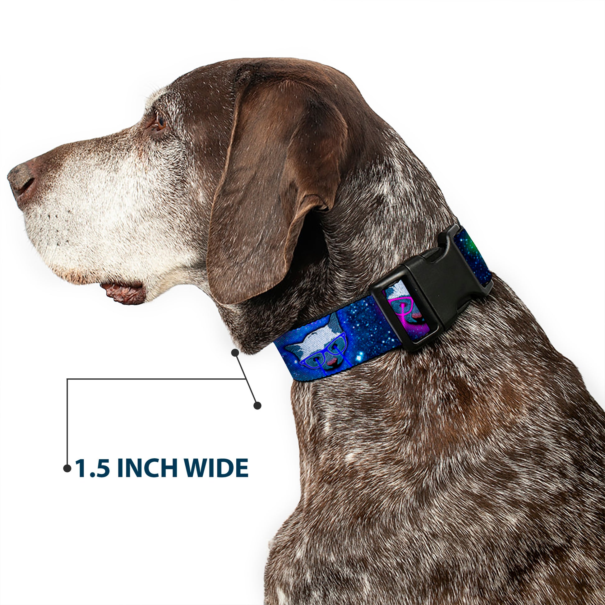 Plastic Clip Collar - Laser Eye Cats in Space Plastic Clip Collars Buckle-Down