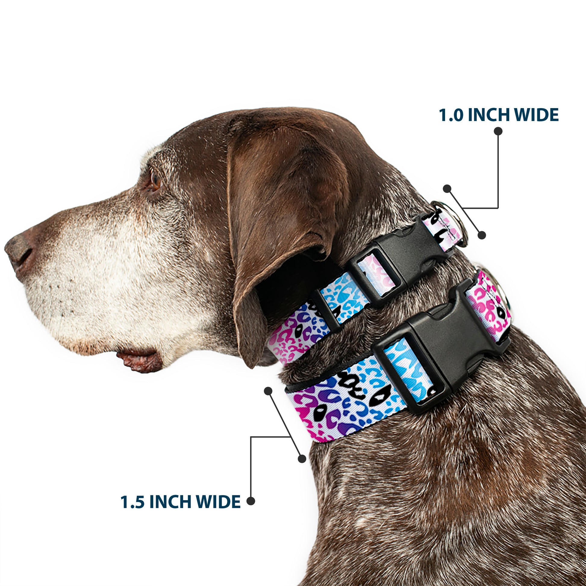 Plastic Clip Collar - Leopard White/Pinks/Blues/Black Plastic Clip Collars Buckle-Down