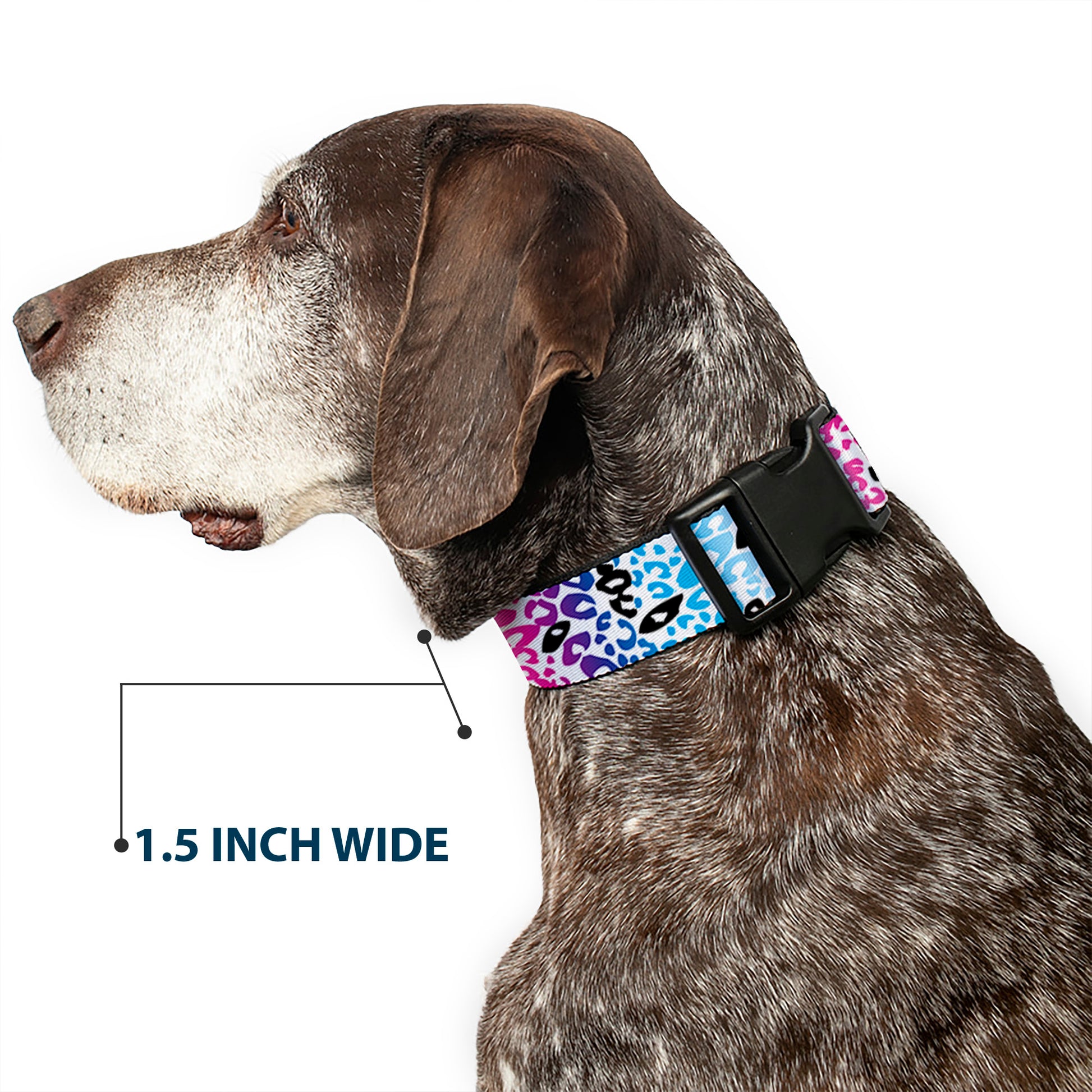 Plastic Clip Collar - Leopard White/Pinks/Blues/Black Plastic Clip Collars Buckle-Down