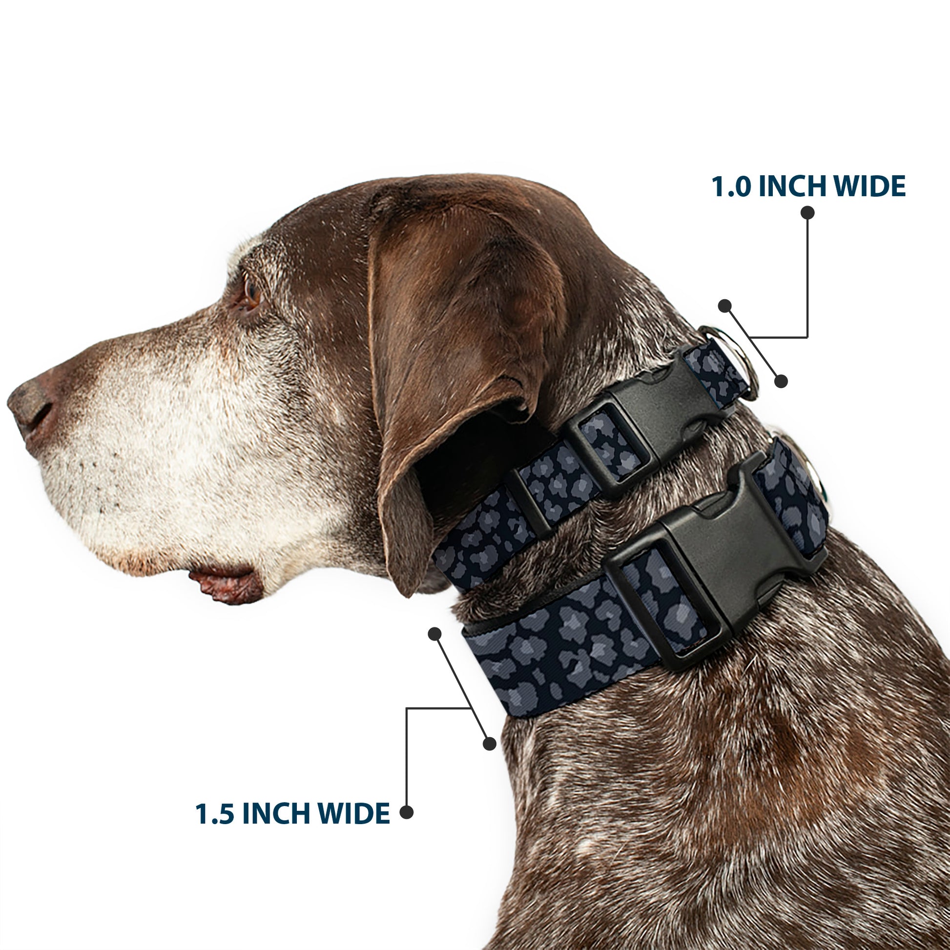 Plastic Clip Collar - Leopard Grays Plastic Clip Collars Buckle-Down