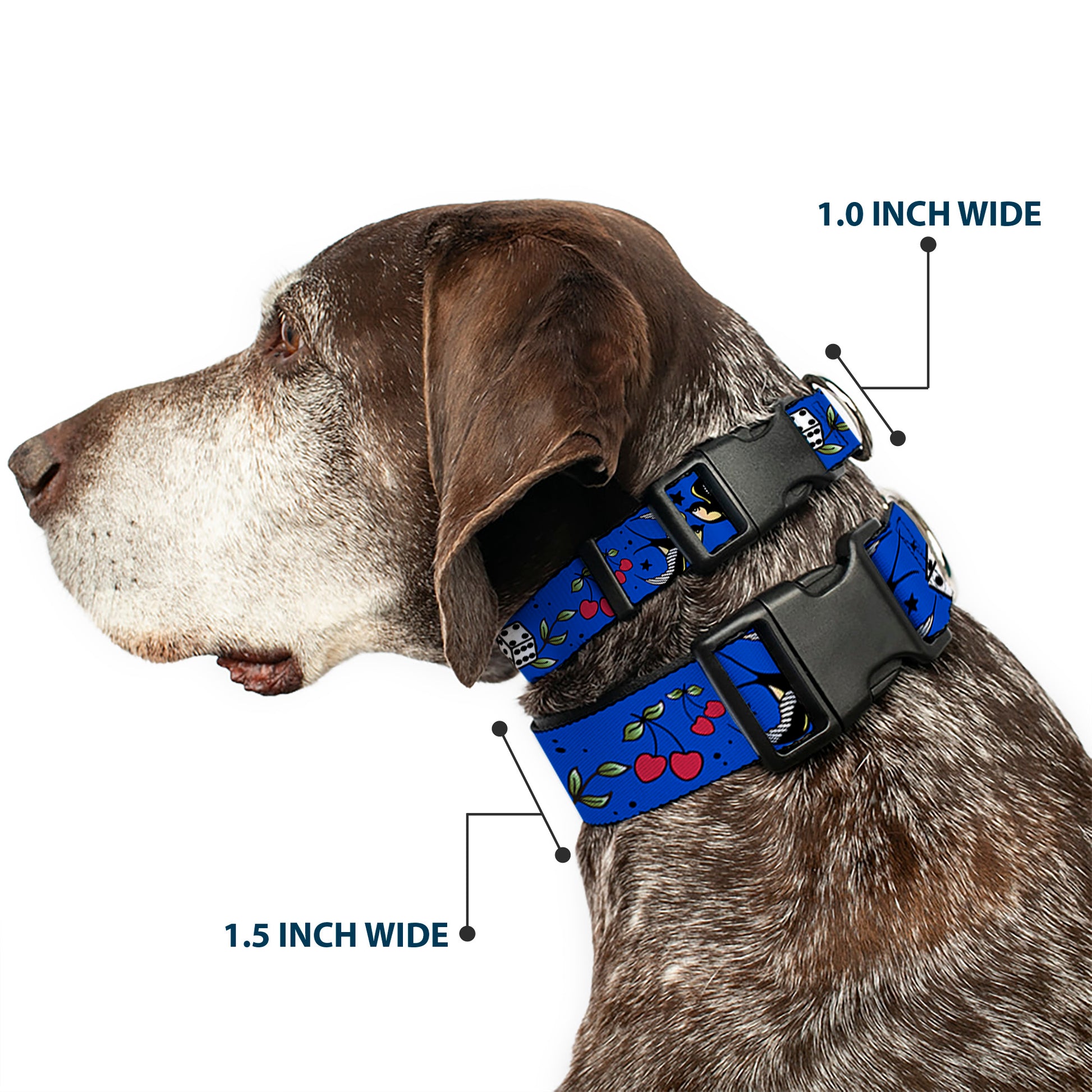 Plastic Clip Collar - Lucky CLOSE-UP Blue Plastic Clip Collars Buckle-Down