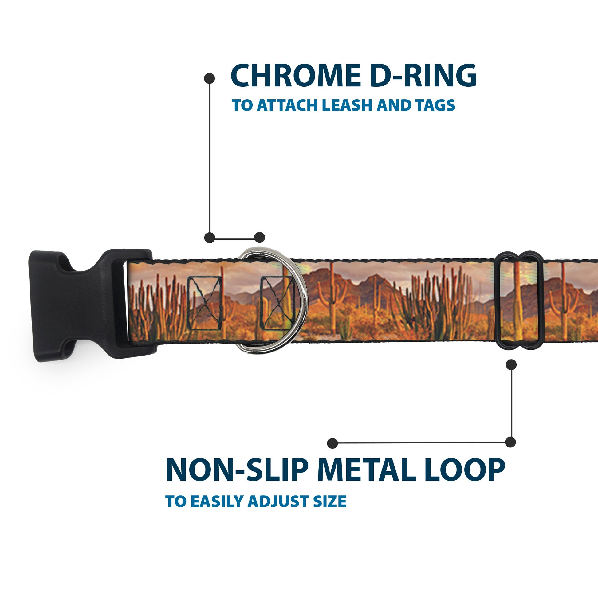 Plastic Clip Collar - Landscape Desert Cacti Plastic Clip Collars Buckle-Down