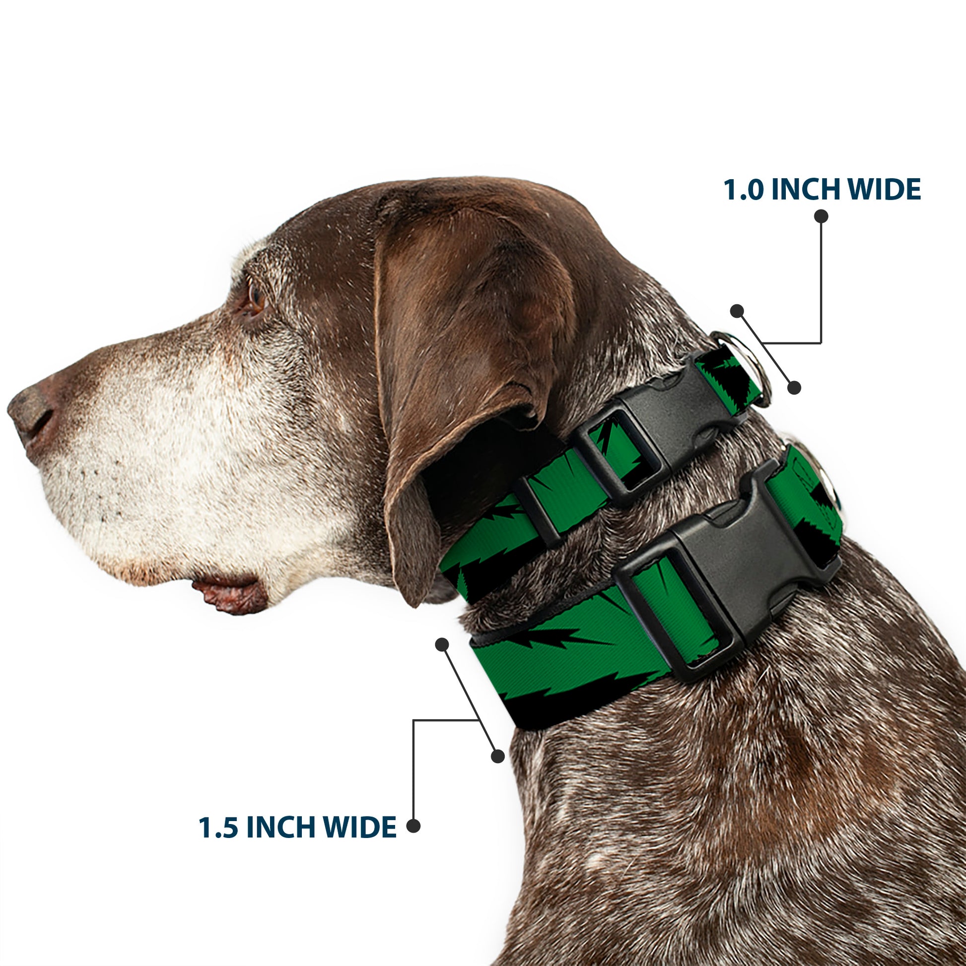 Buckle-Down Plastic Buckle Dog Collar - Marijuana Leaf Close-Up Plastic Clip Collars Buckle-Down