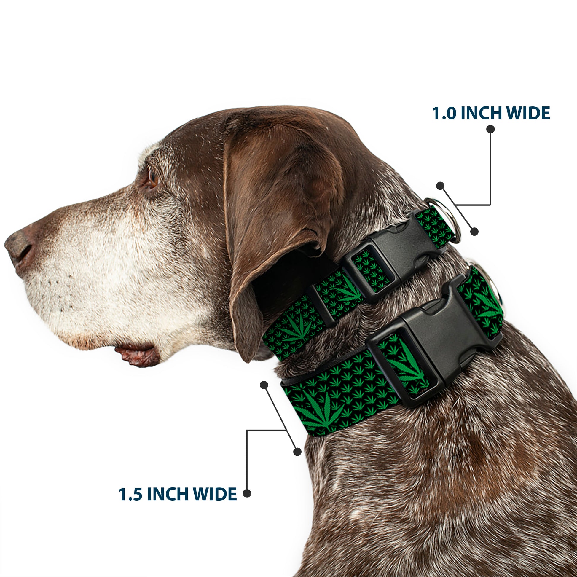 Buckle-Down Plastic Buckle Dog Collar - Marijuana Garden Black/Green Plastic Clip Collars Buckle-Down