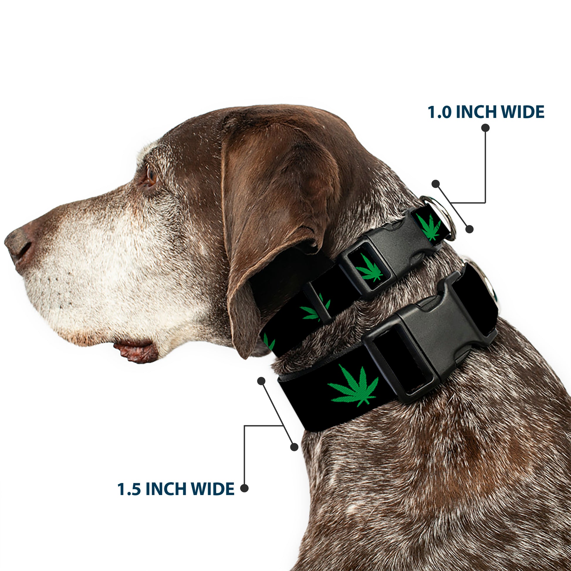 Buckle-Down Plastic Buckle Dog Collar - Marijuana Leaf Repeat Black/Green Plastic Clip Collars Buckle-Down