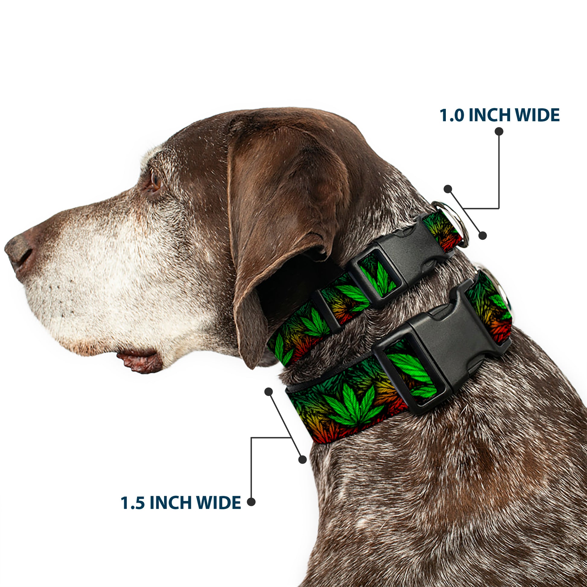 Buckle-Down Plastic Buckle Dog Collar - Marijuana Haze Rasta/Black Plastic Clip Collars Buckle-Down