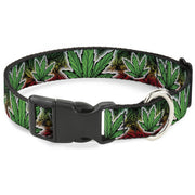 Buckle-Down Plastic Buckle Dog Collar - Marijuana Haze Rasta/White Plastic Clip Collars Buckle-Down