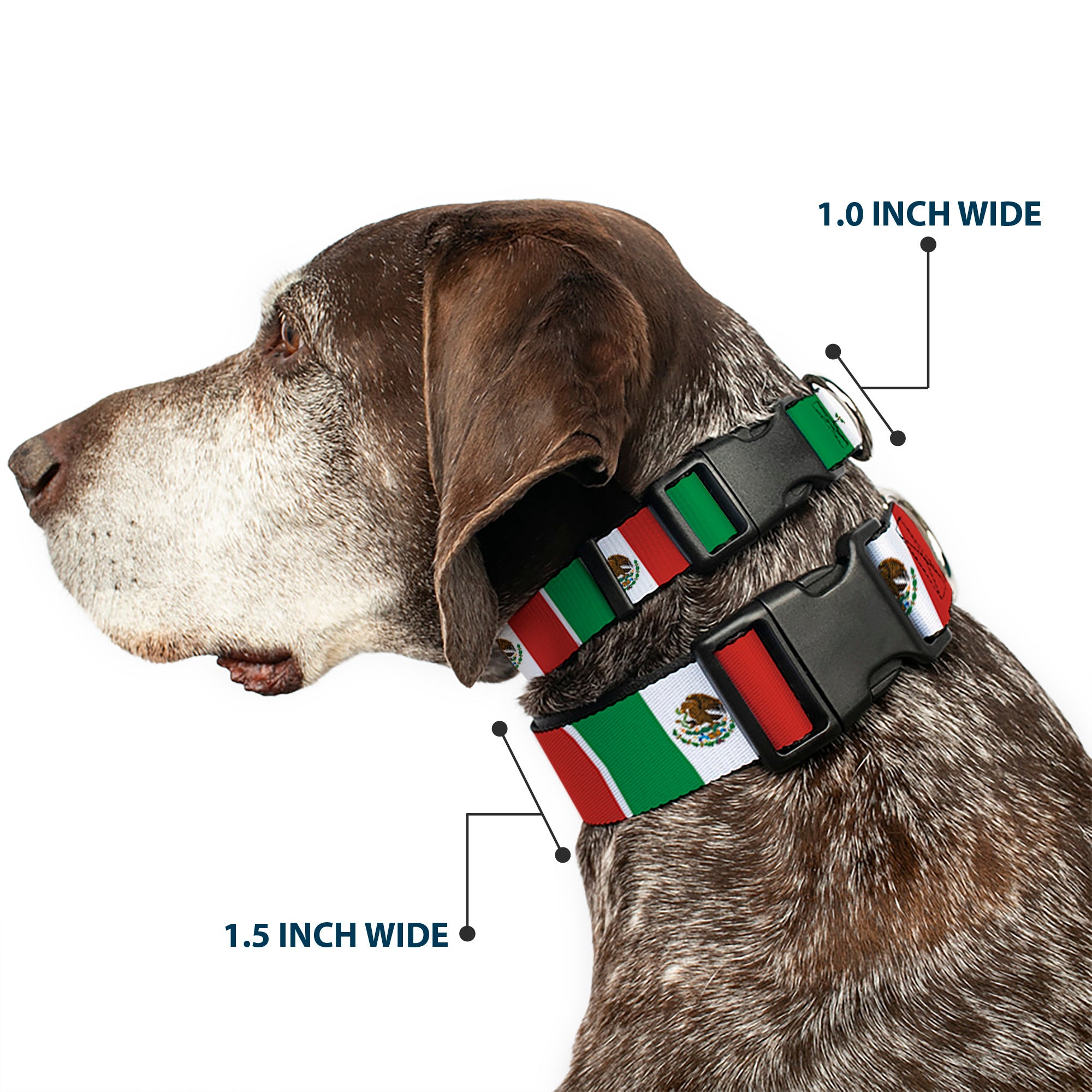 Plastic Clip Collar - Mexico Flags Plastic Clip Collars Buckle-Down