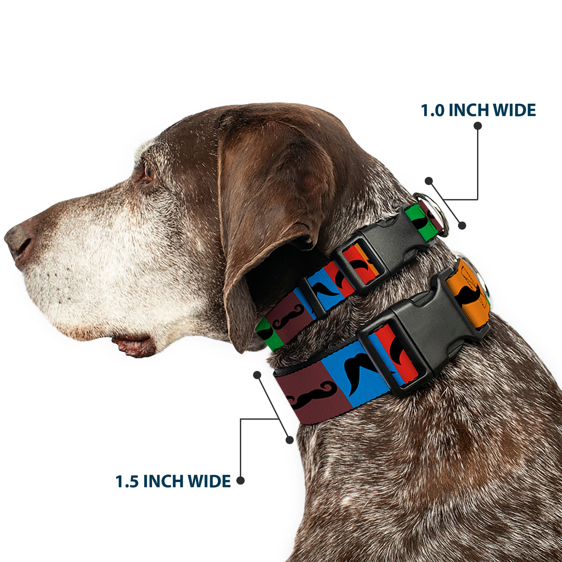 Plastic Clip Collar - Mustaches Multi Color Blocks/Black Plastic Clip Collars Buckle-Down