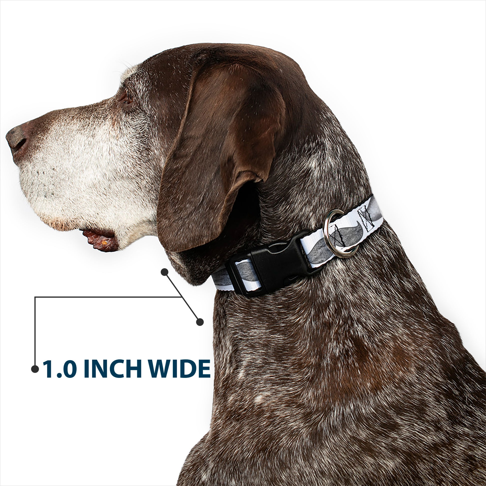 Plastic Clip Collar - Mustaches White/Sketch Plastic Clip Collars Buckle-Down