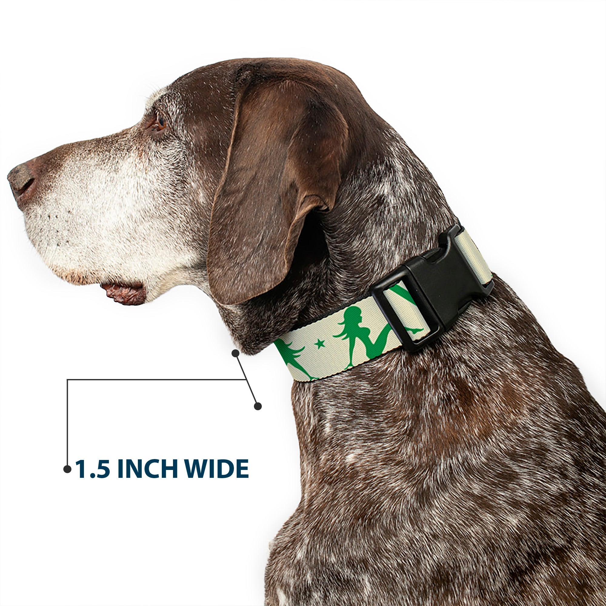 Plastic Clip Collar - Mud Flap Girls w/Stripes Tan/Green/Lime Green Plastic Clip Collars Buckle-Down