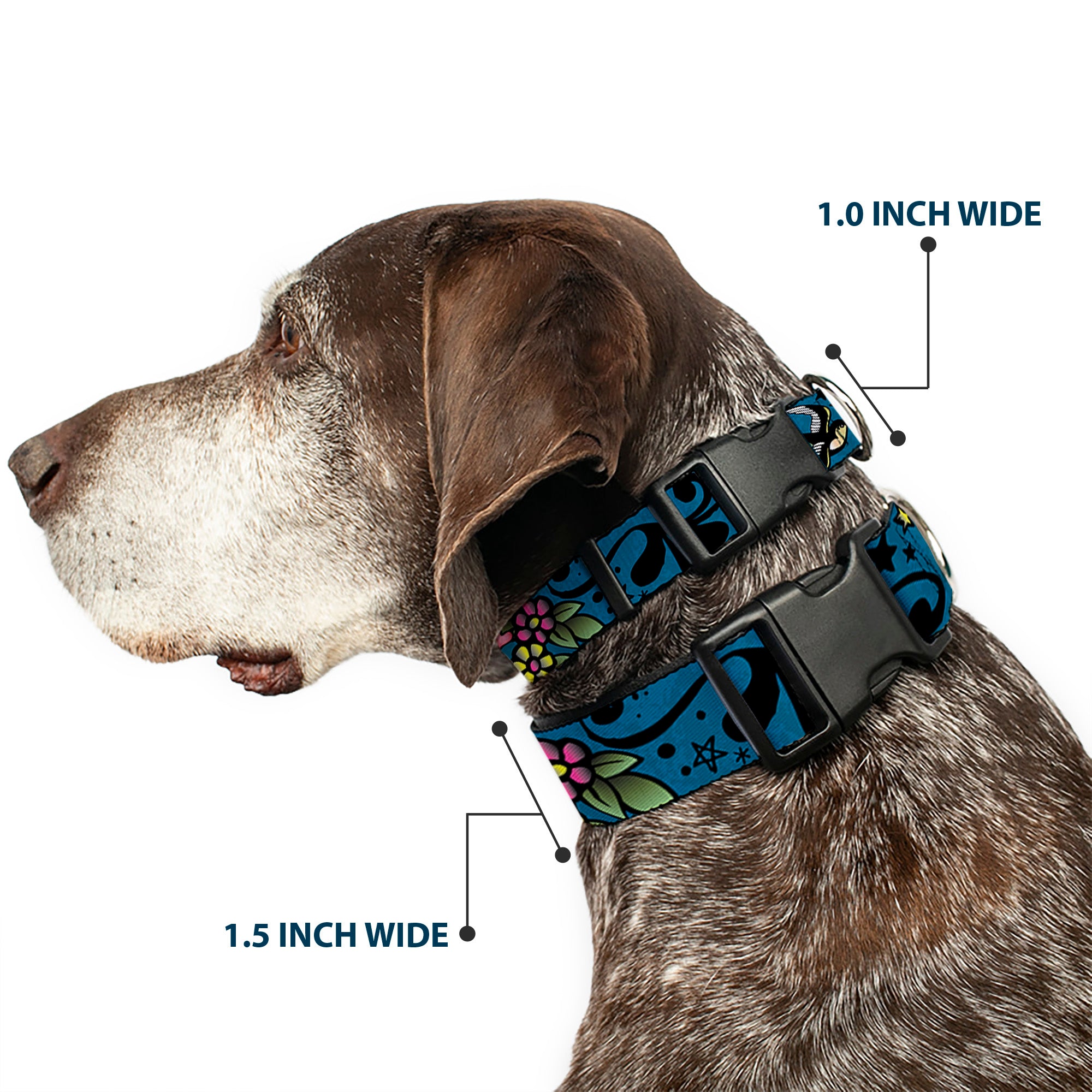 Plastic Clip Collar - Mom & Dad CLOSE-UP Blue w/Sparrows Plastic Clip Collars Buckle-Down