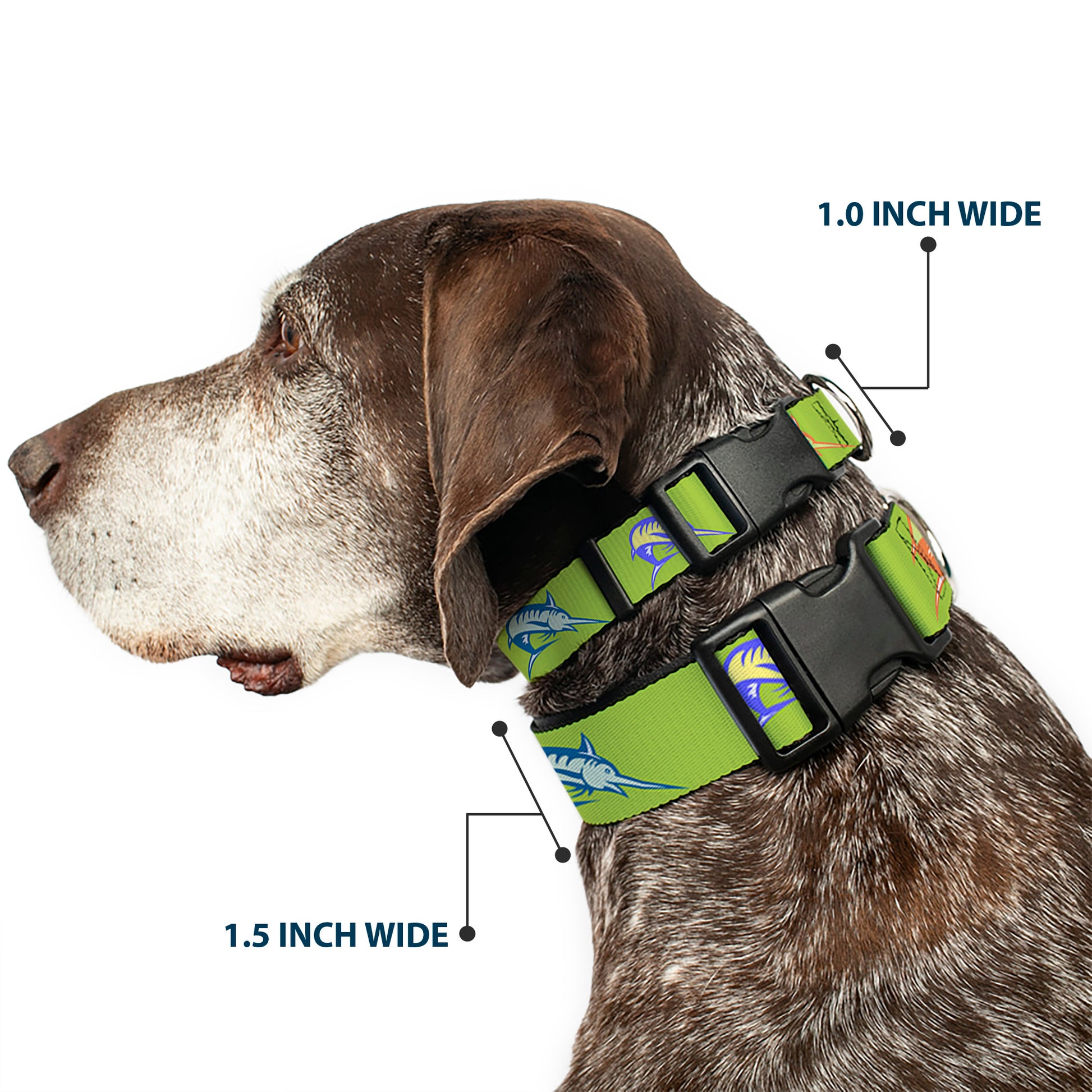 Plastic Clip Collar - Marlin Green/Multi Color Plastic Clip Collars Buckle-Down