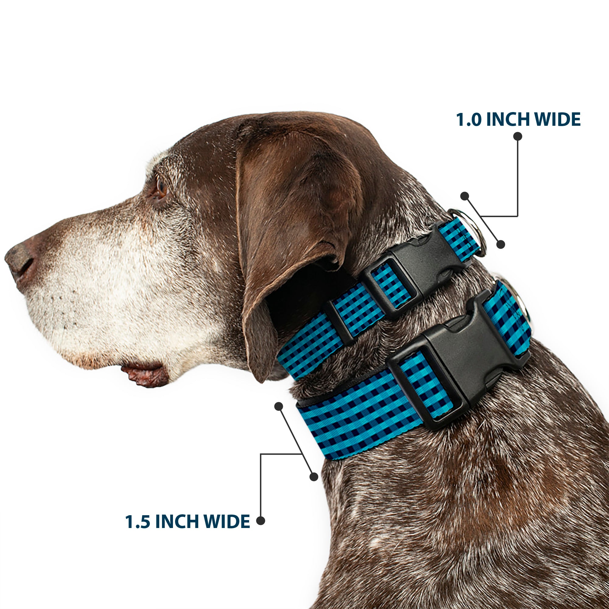 Plastic Clip Collar - Mini Buffalo Plaid Navy/Blue Plastic Clip Collars Buckle-Down