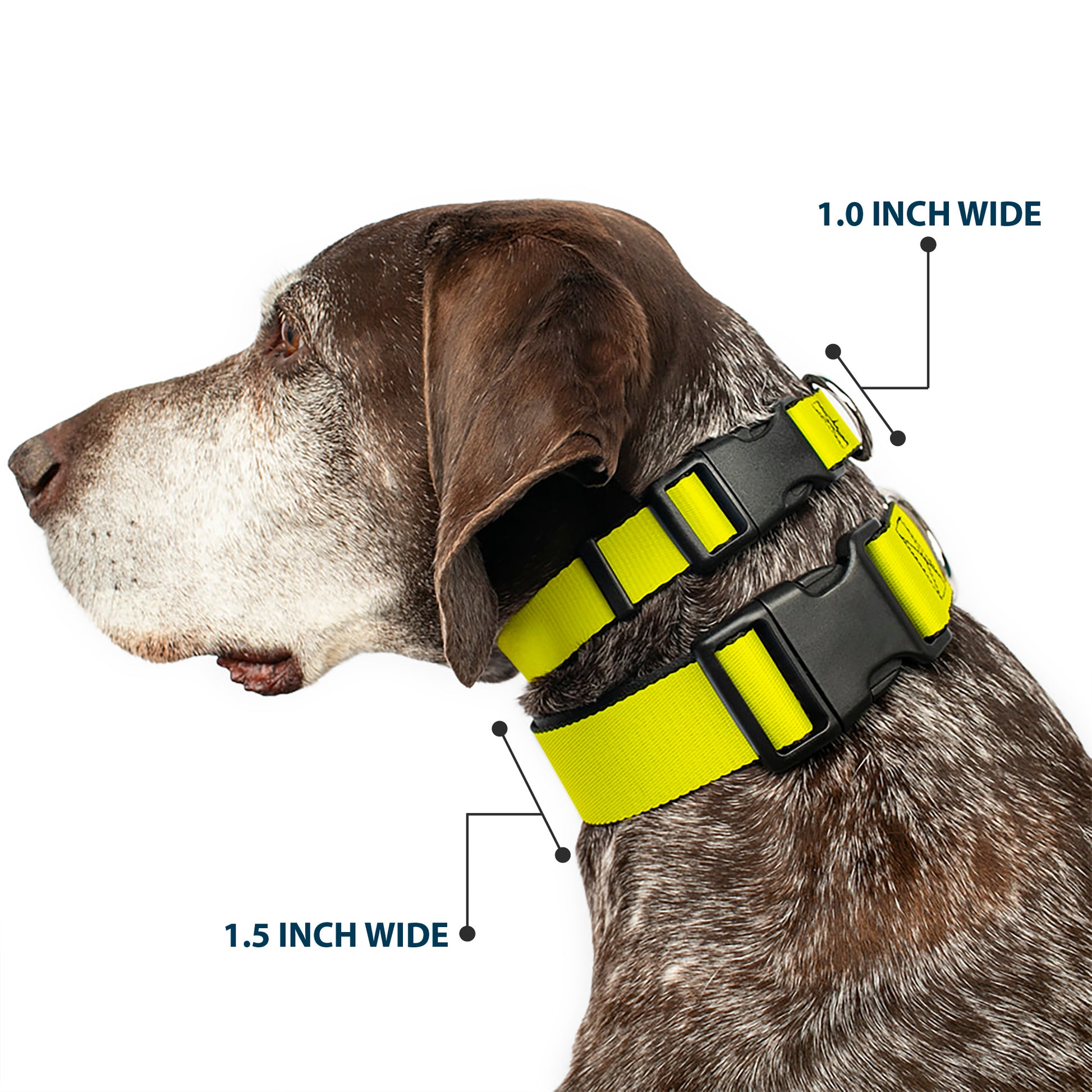Plastic Clip Collar - Neon Yellow Plastic Clip Collars Buckle-Down