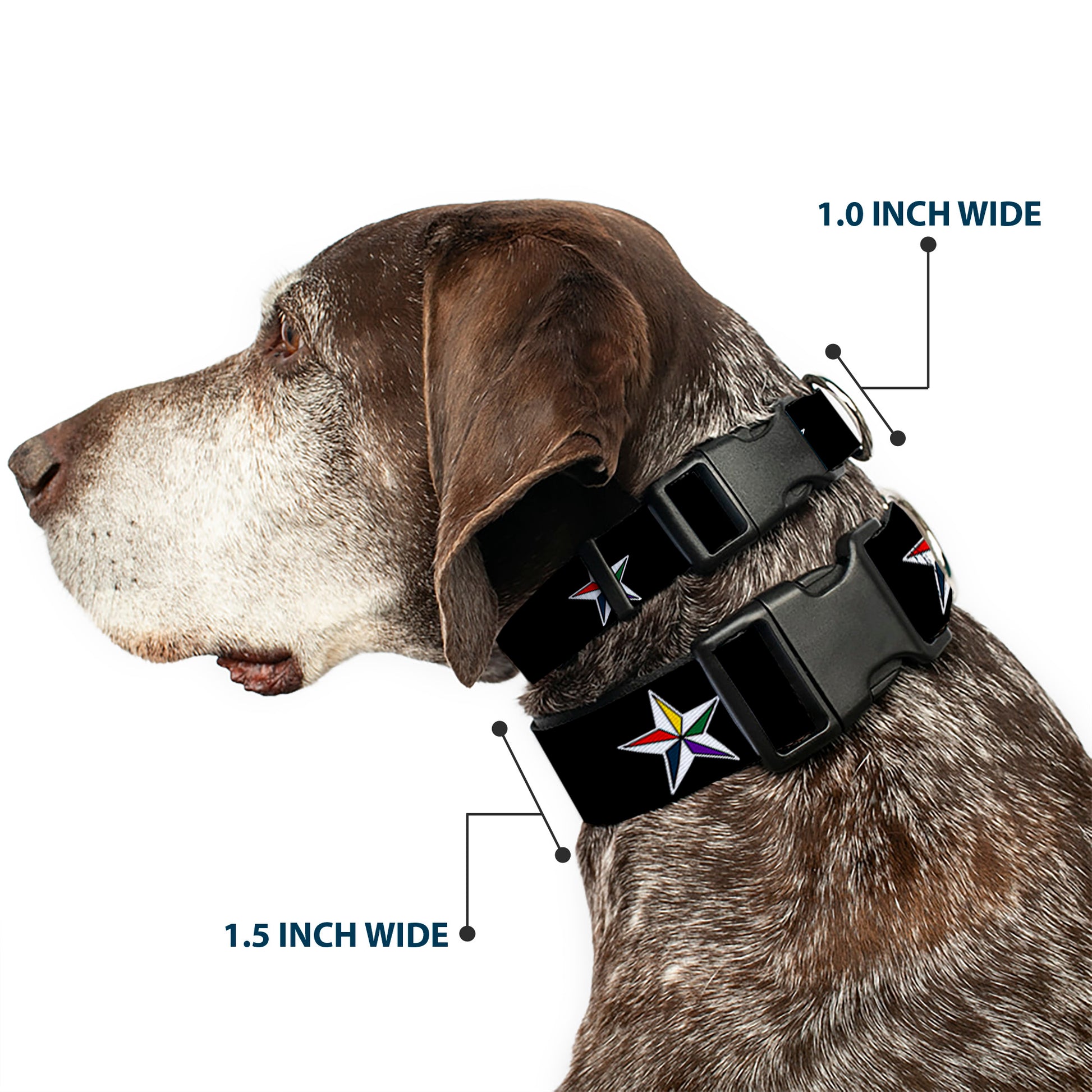 Plastic Clip Collar - Nautical Star Black/White/Multi Color Plastic Clip Collars Buckle-Down
