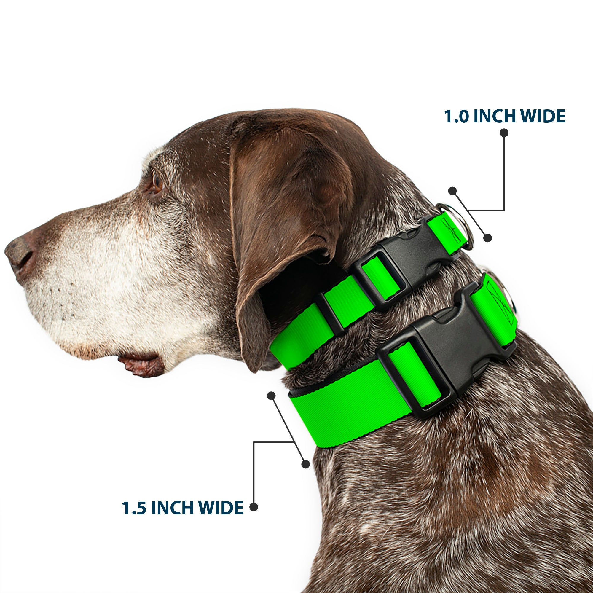 Plastic Clip Collar - Neon Green Plastic Clip Collars Buckle-Down