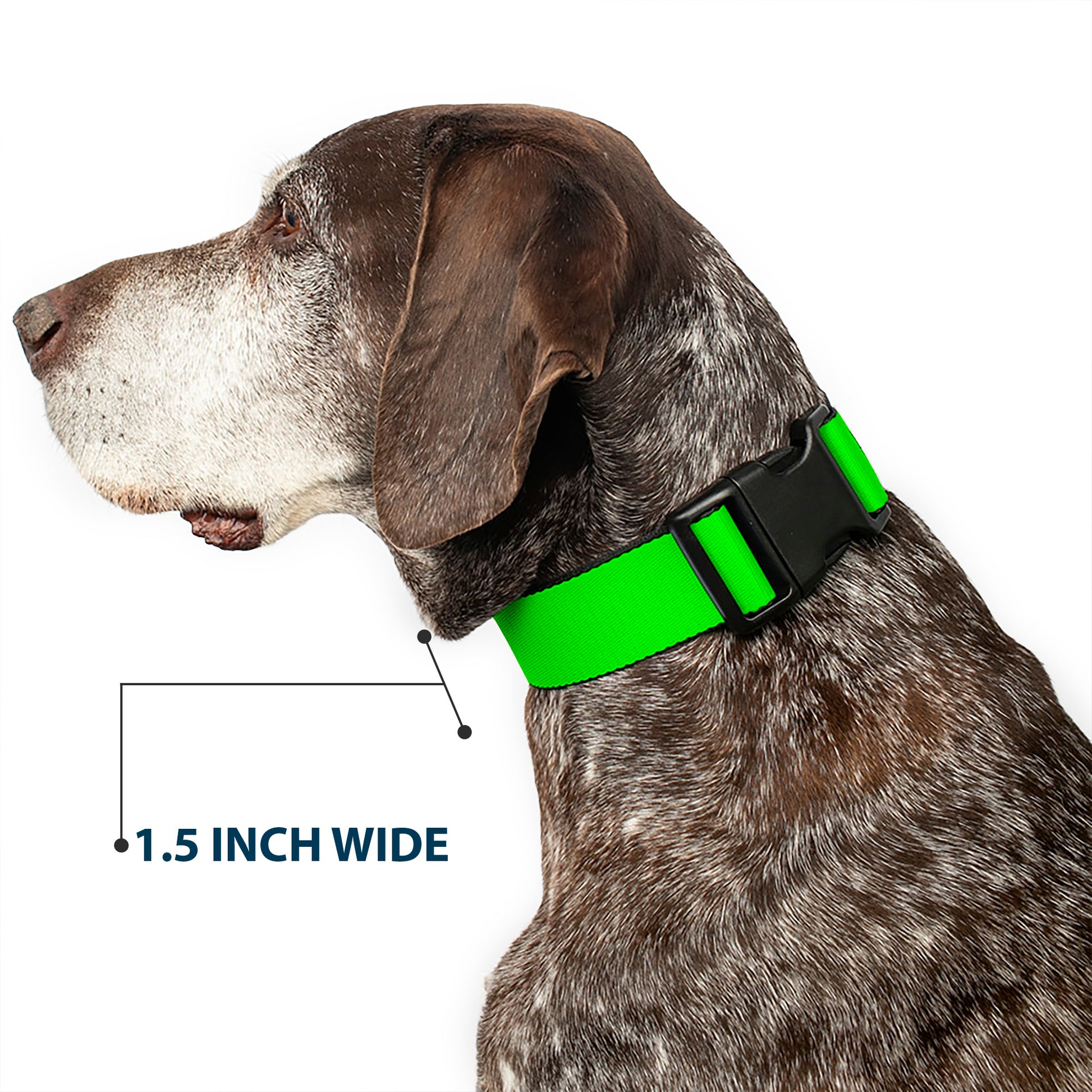 Plastic Clip Collar - Neon Green Plastic Clip Collars Buckle-Down