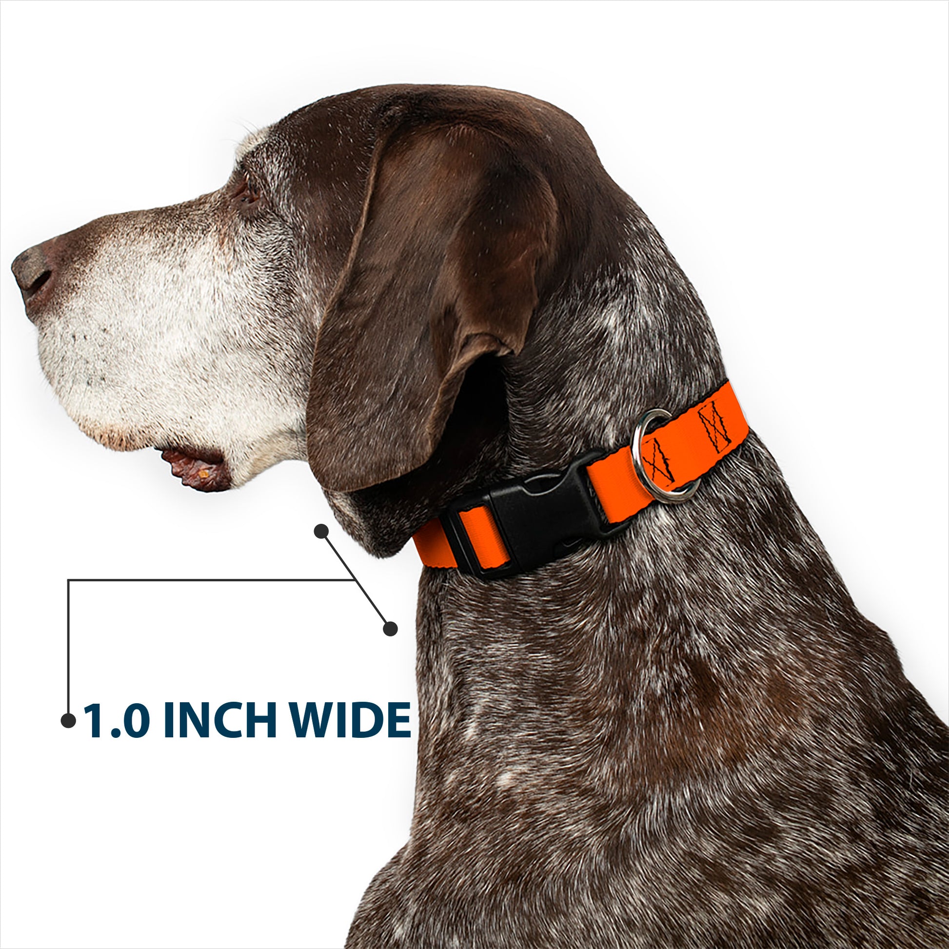 Plastic Clip Collar - Neon Orange Plastic Clip Collars Buckle-Down