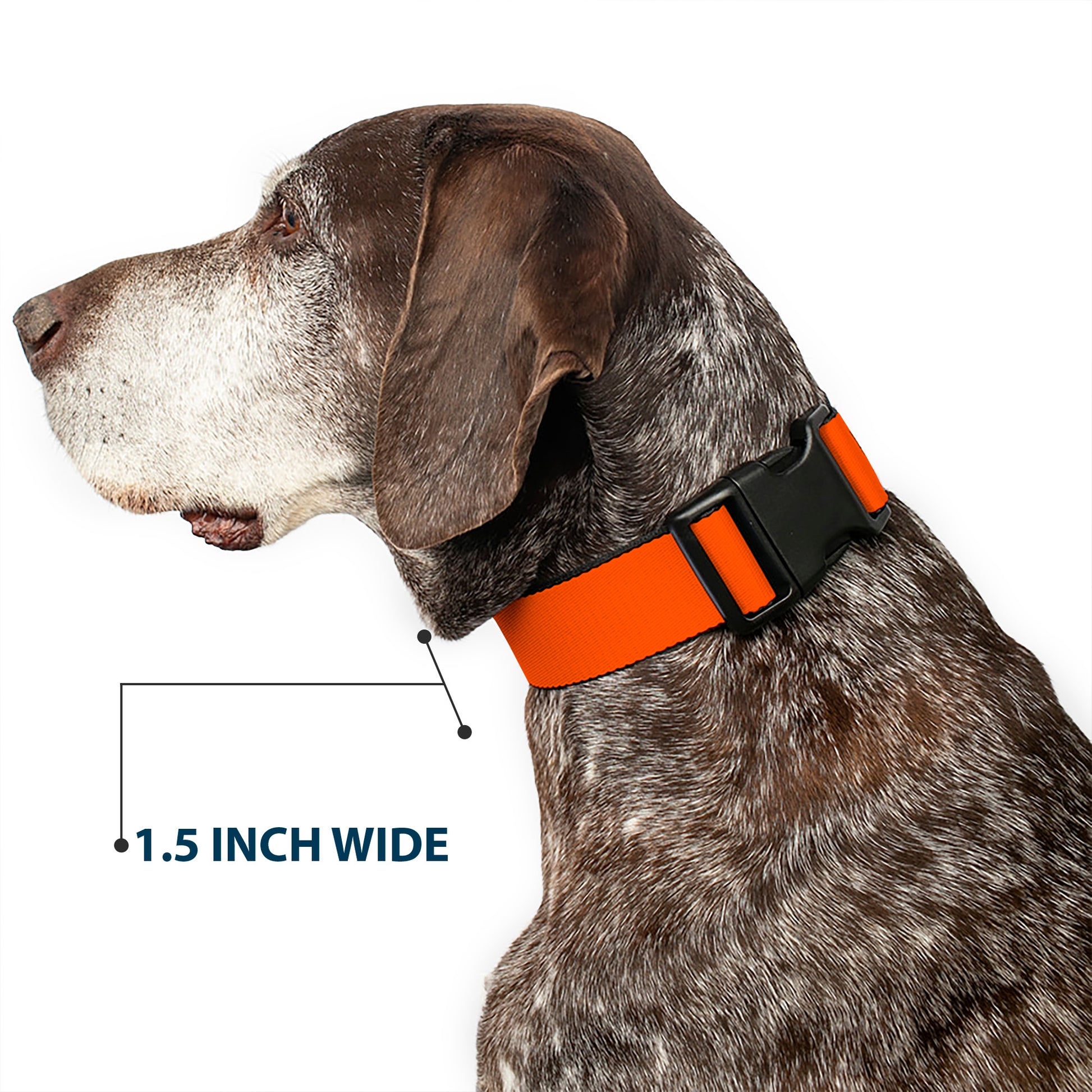 Plastic Clip Collar - Neon Orange Plastic Clip Collars Buckle-Down