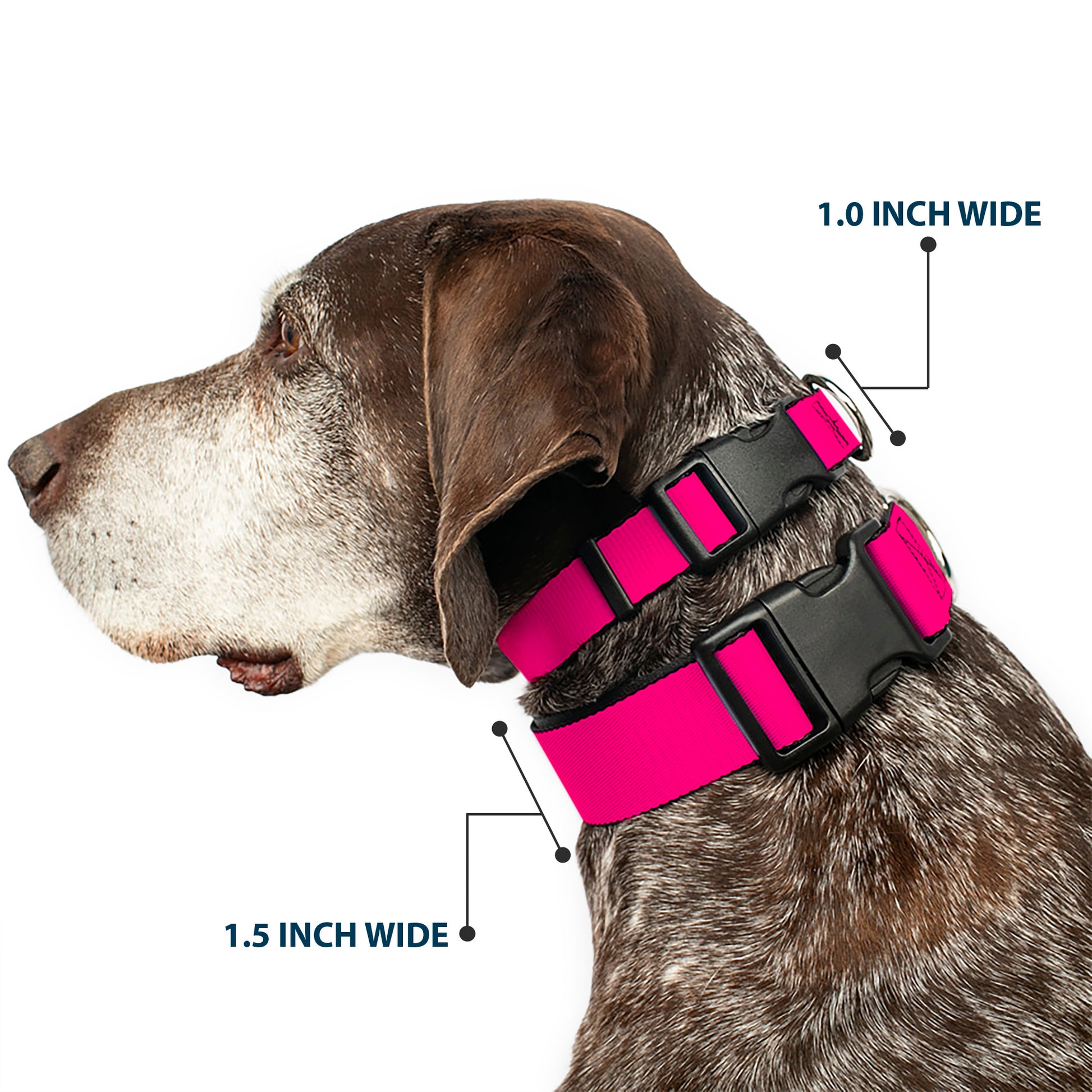 Plastic Clip Collar - Neon Pink Print Plastic Clip Collars Buckle-Down