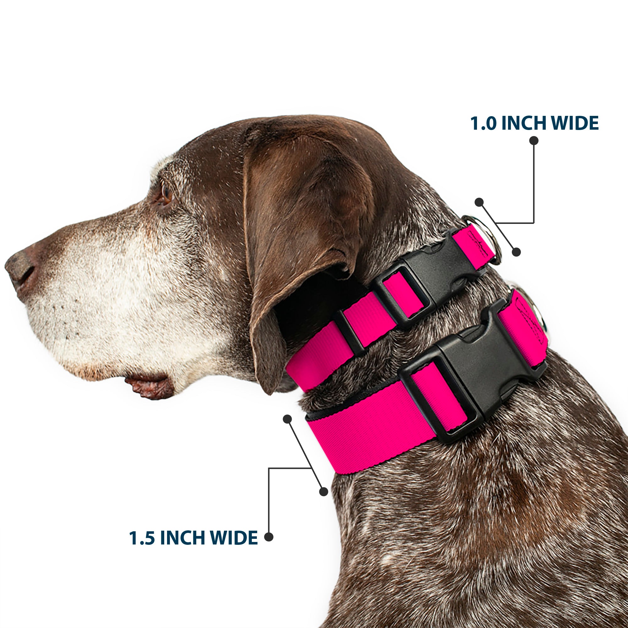 Plastic Clip Collar - Neon Pink Print Plastic Clip Collars Buckle-Down