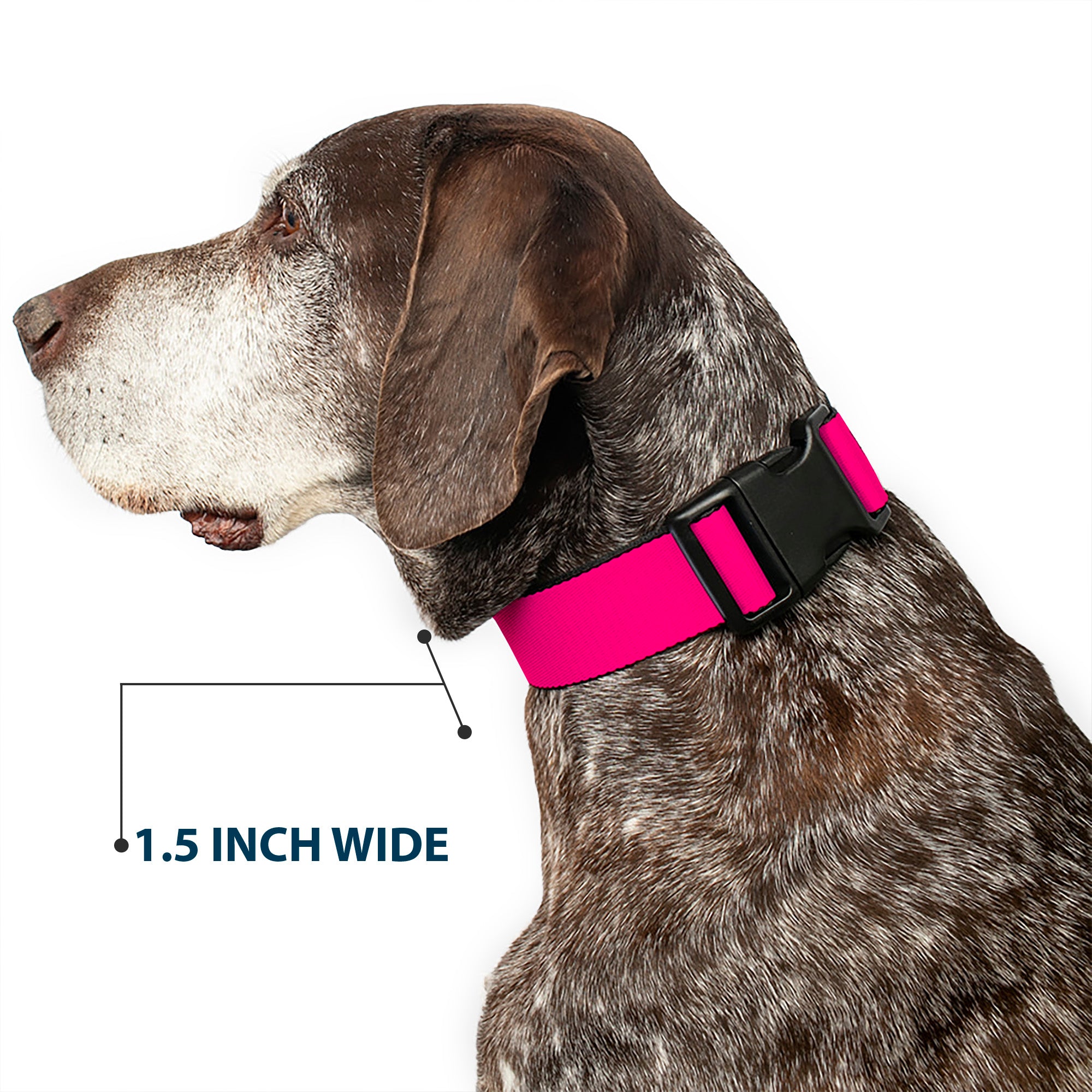 Plastic Clip Collar - Neon Pink Print Plastic Clip Collars Buckle-Down