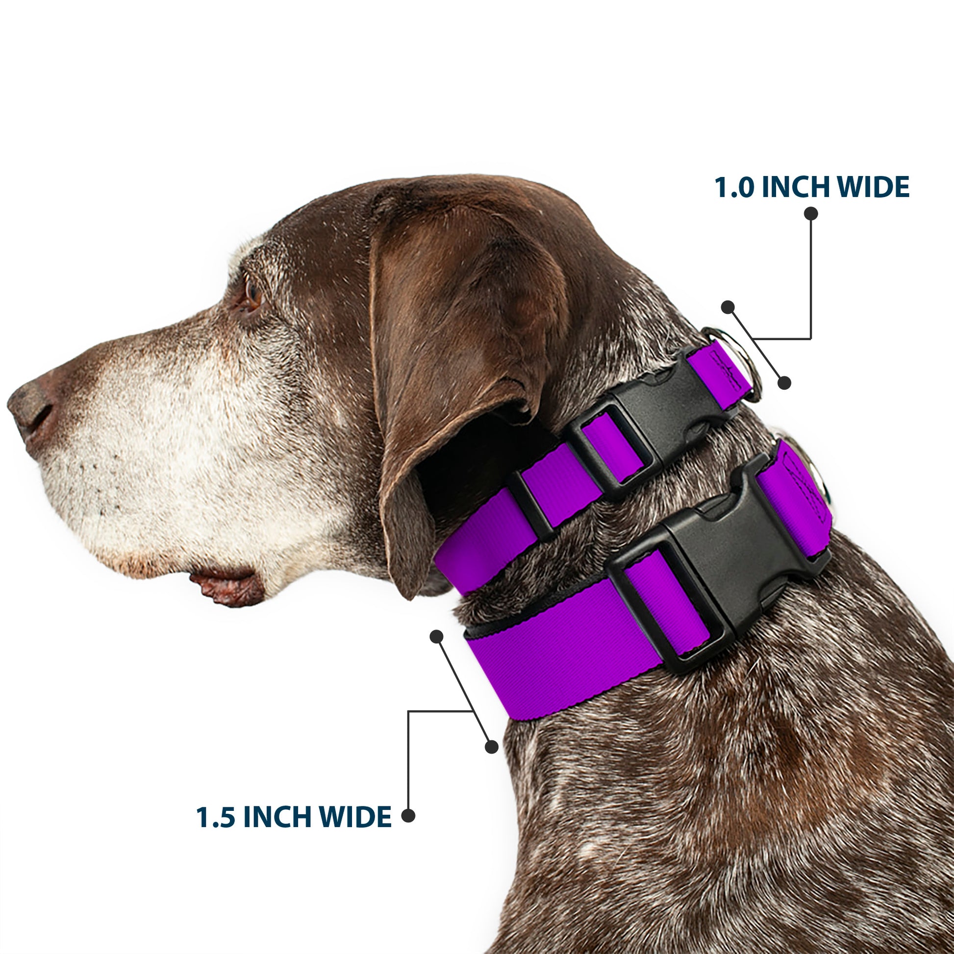 Plastic Clip Collar - Neon Purple Plastic Clip Collars Buckle-Down