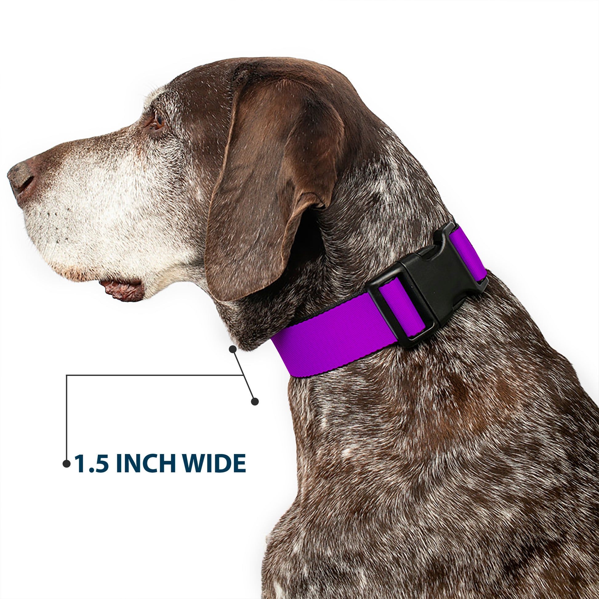 Plastic Clip Collar - Neon Purple Plastic Clip Collars Buckle-Down