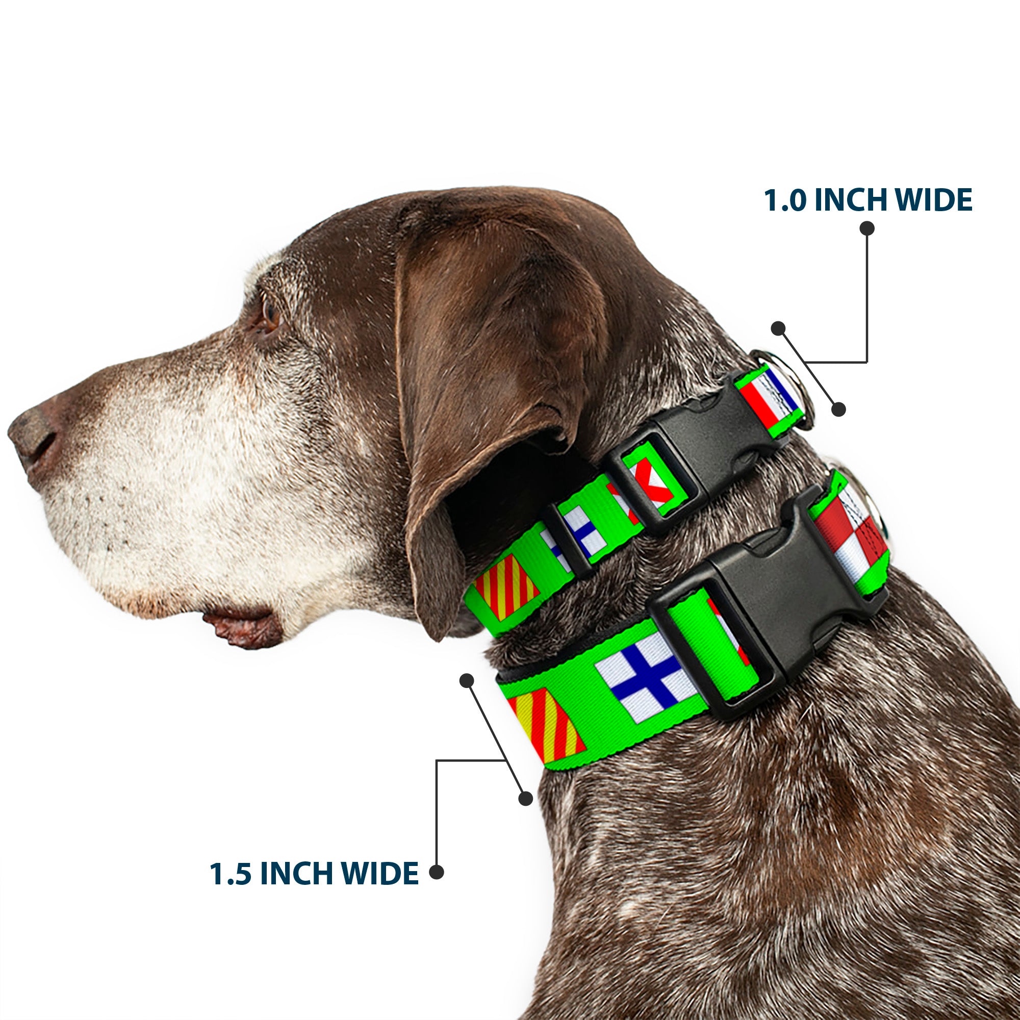 Plastic Clip Collar - Nautical Flags Green/Multi Color Plastic Clip Collars Buckle-Down