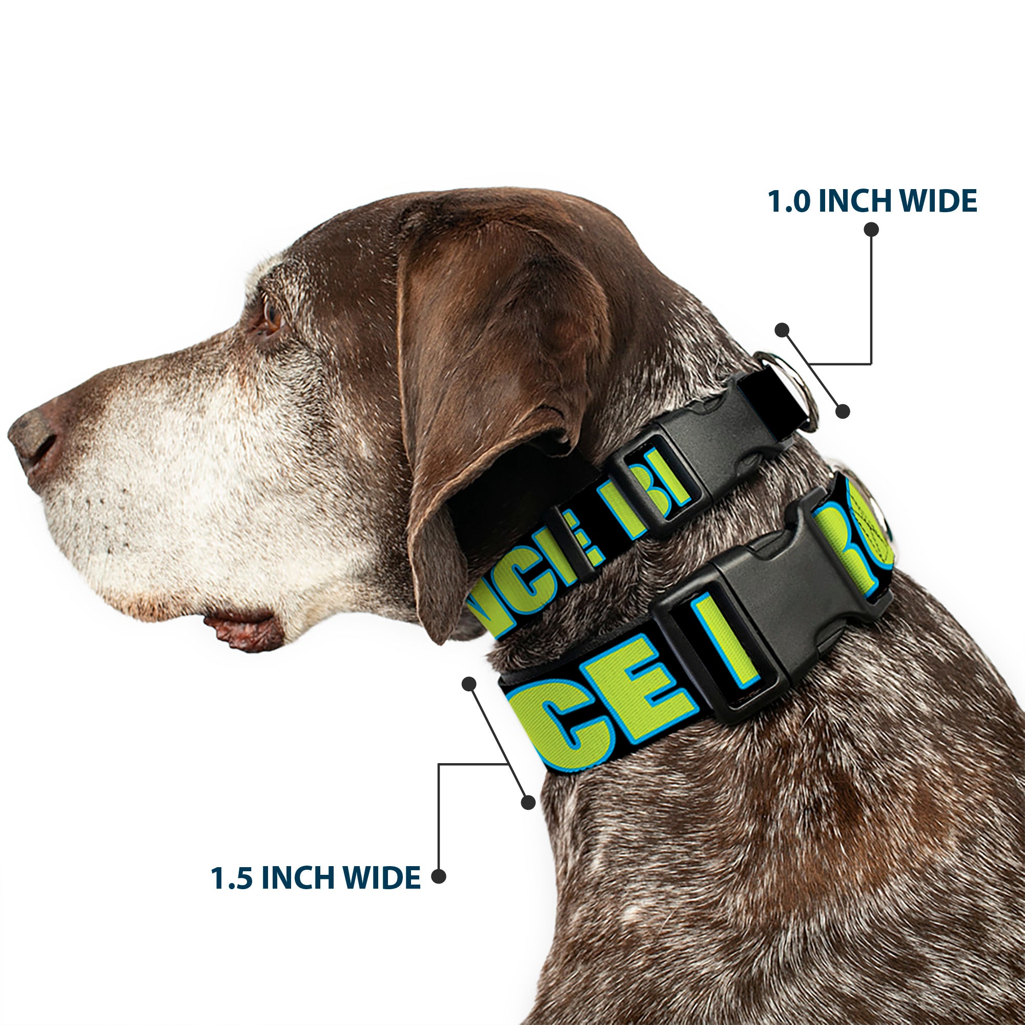 Plastic Clip Collar - NO CHANCE BRO Black/Turquoise/Green Plastic Clip Collars Buckle-Down