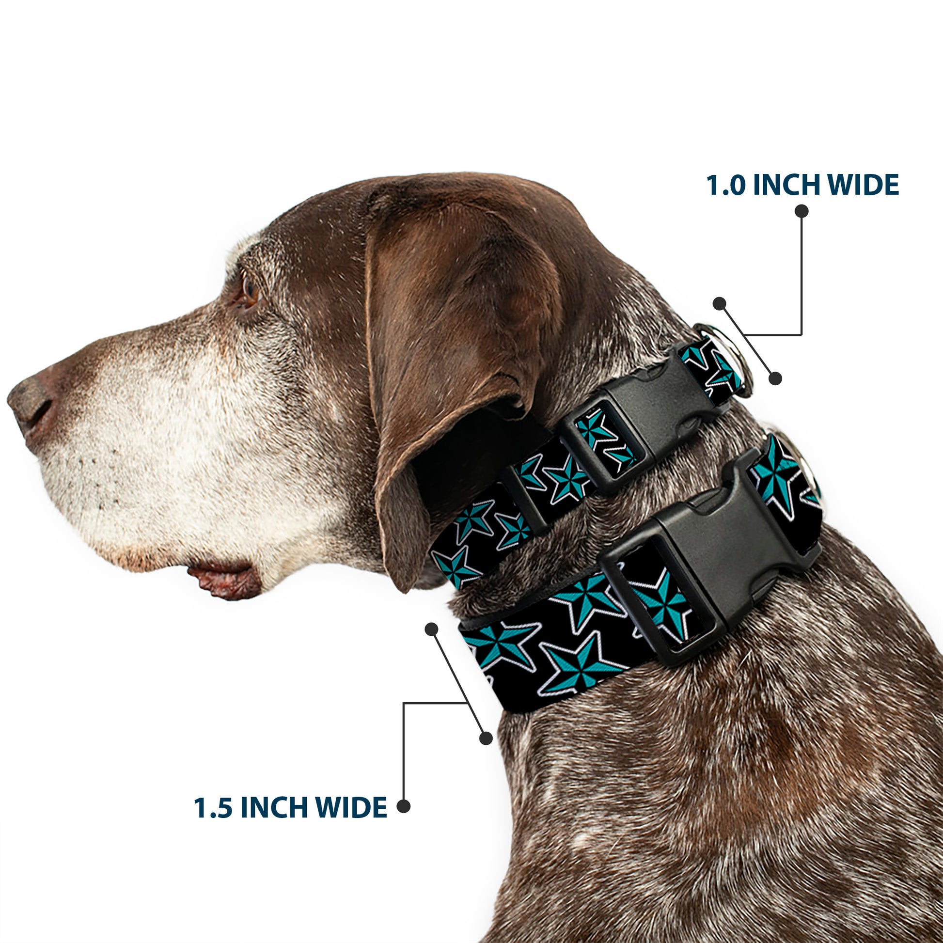 Plastic Clip Collar - Nautical Stars Scattered Black/Turquoise Plastic Clip Collars Buckle-Down