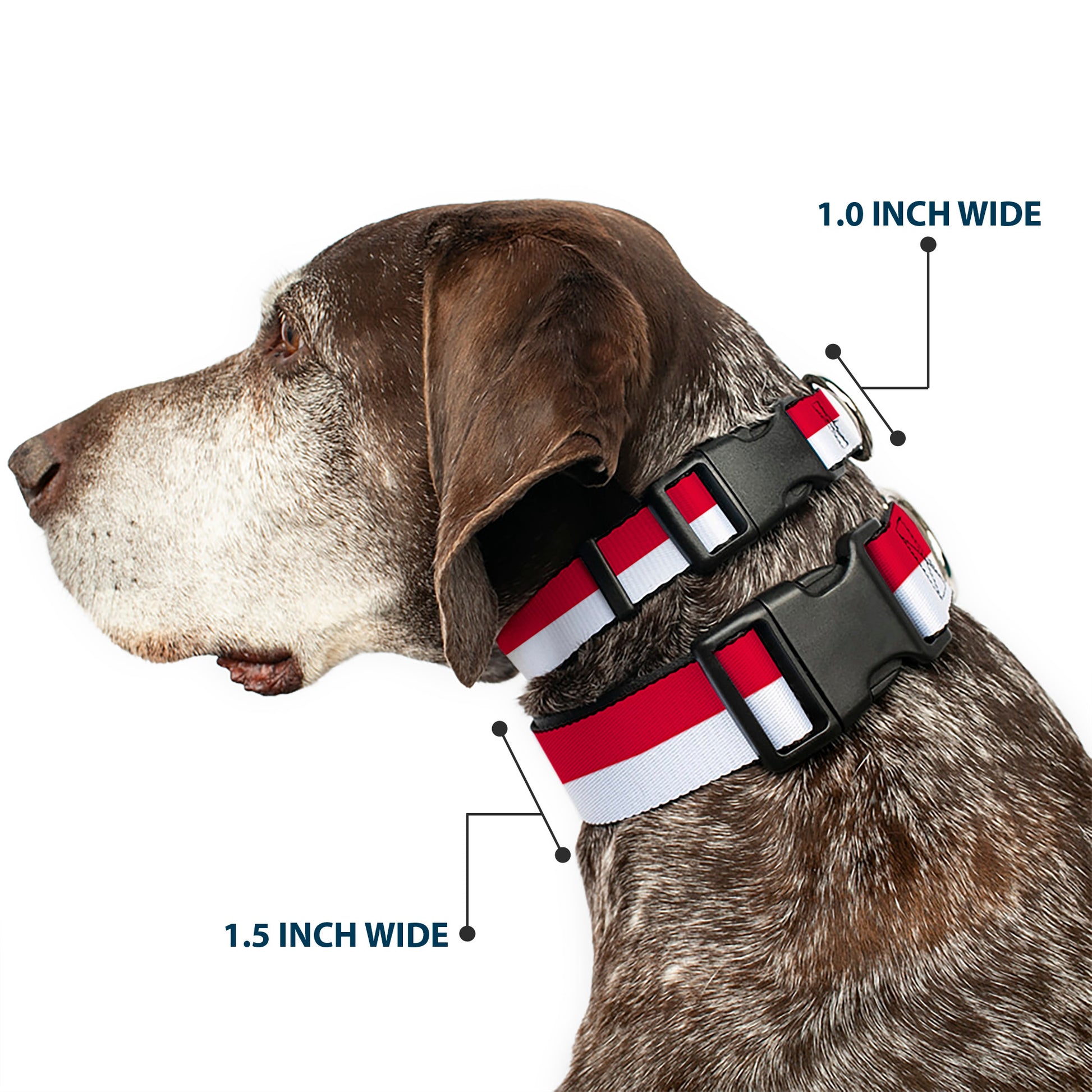 Plastic Clip Collar - North Carolina Flag Stripe Red/White Plastic Clip Collars Buckle-Down