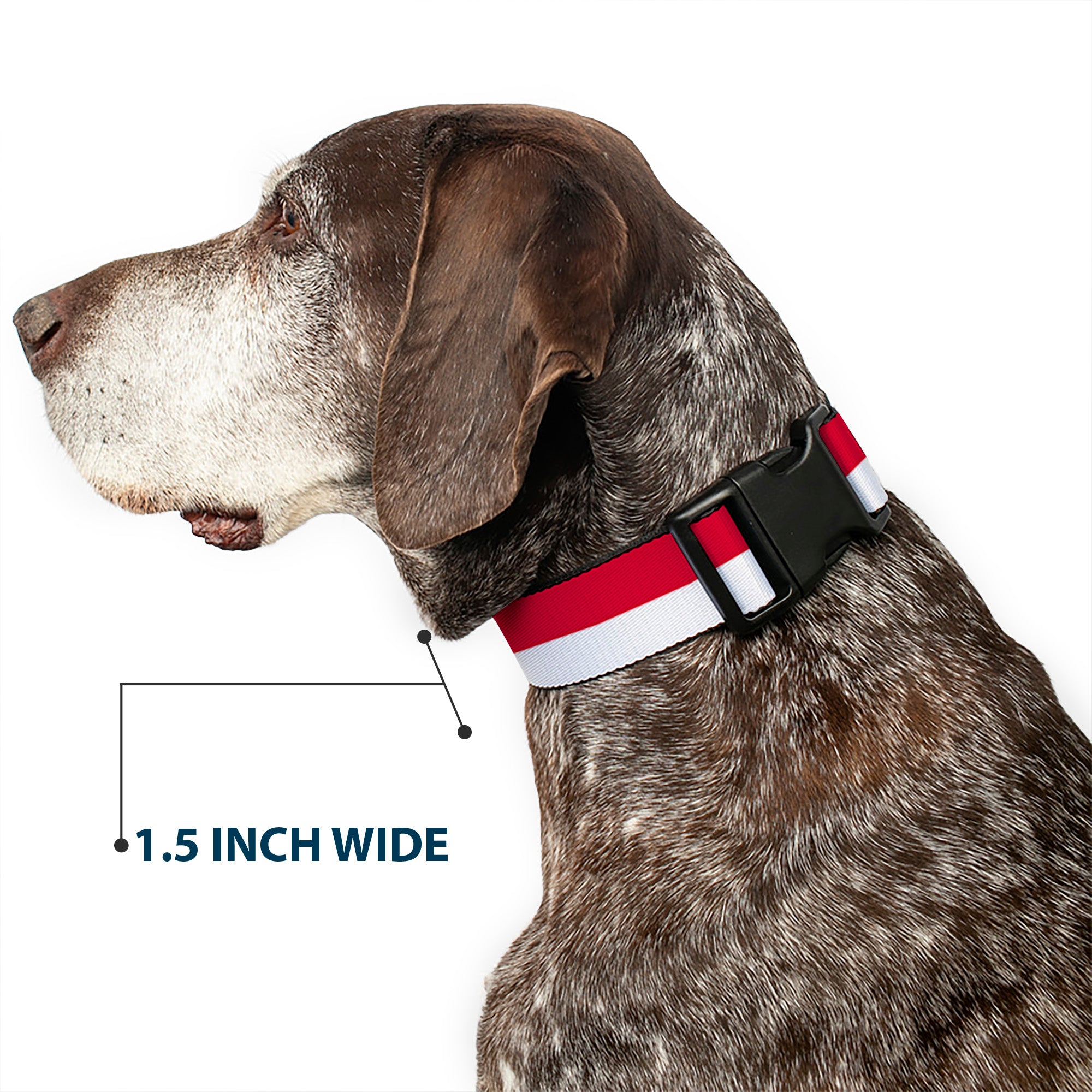 Plastic Clip Collar - North Carolina Flag Stripe Red/White Plastic Clip Collars Buckle-Down