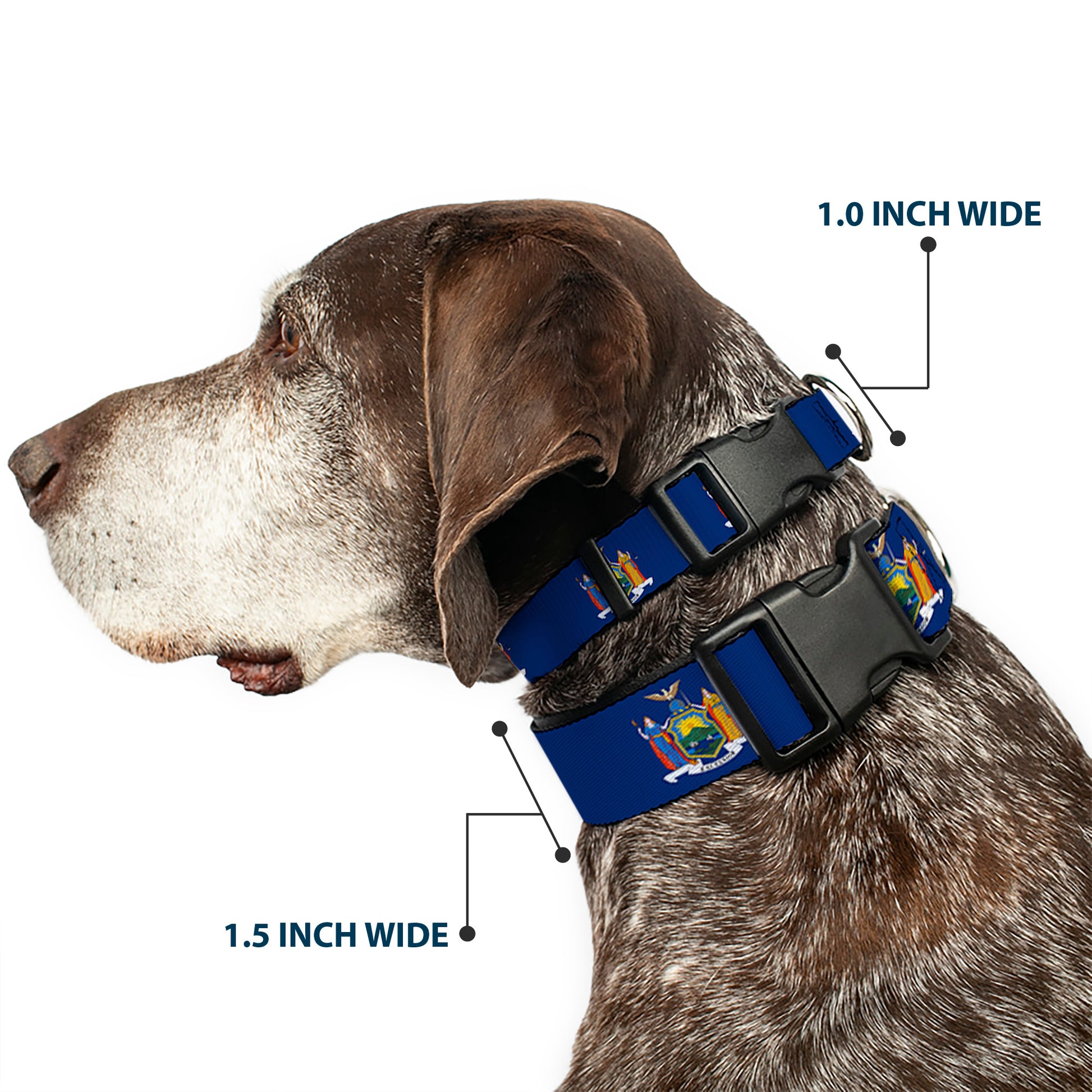 Plastic Clip Collar - New York Flag Continuous Plastic Clip Collars Buckle-Down
