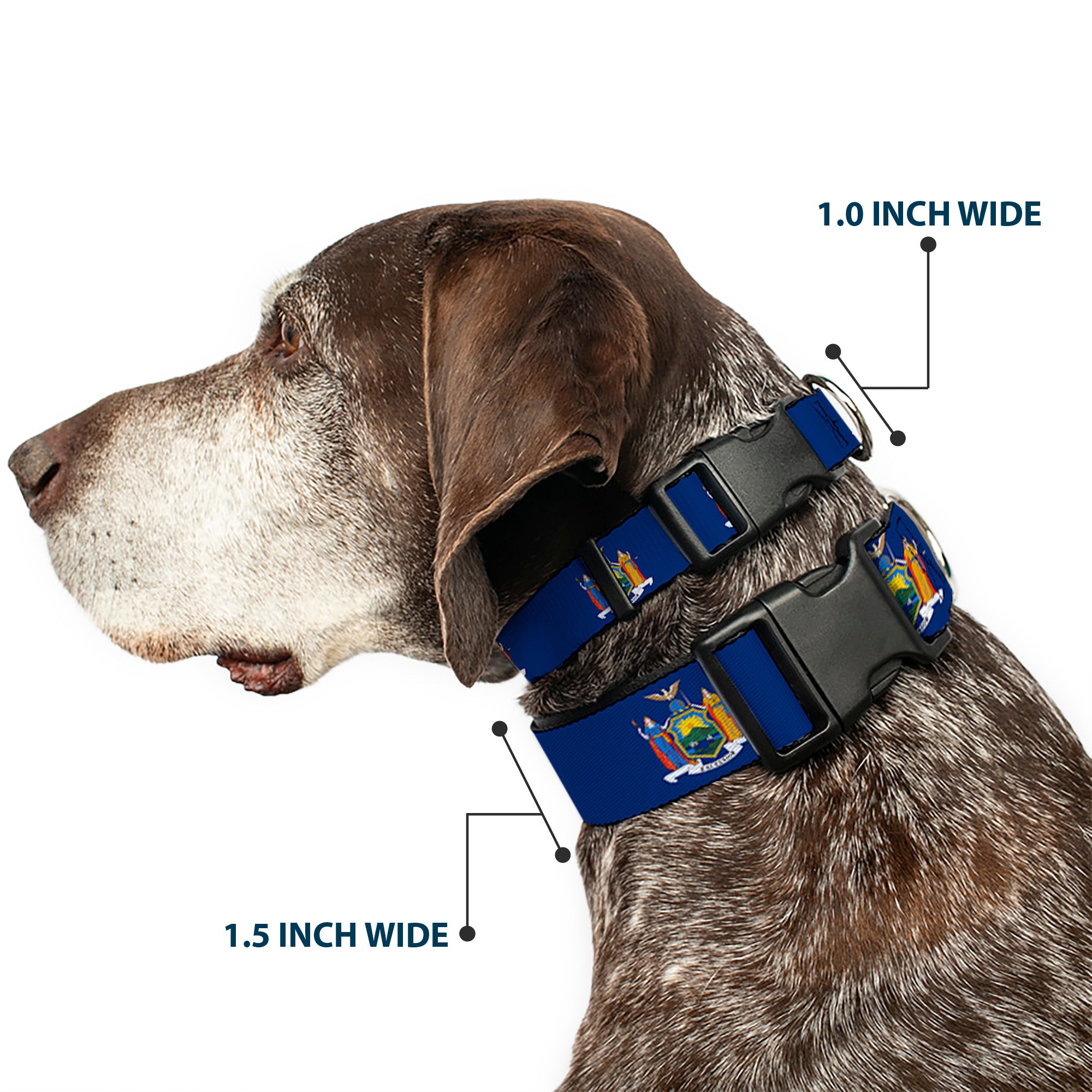 Plastic Clip Collar - New York Flag Continuous Plastic Clip Collars Buckle-Down