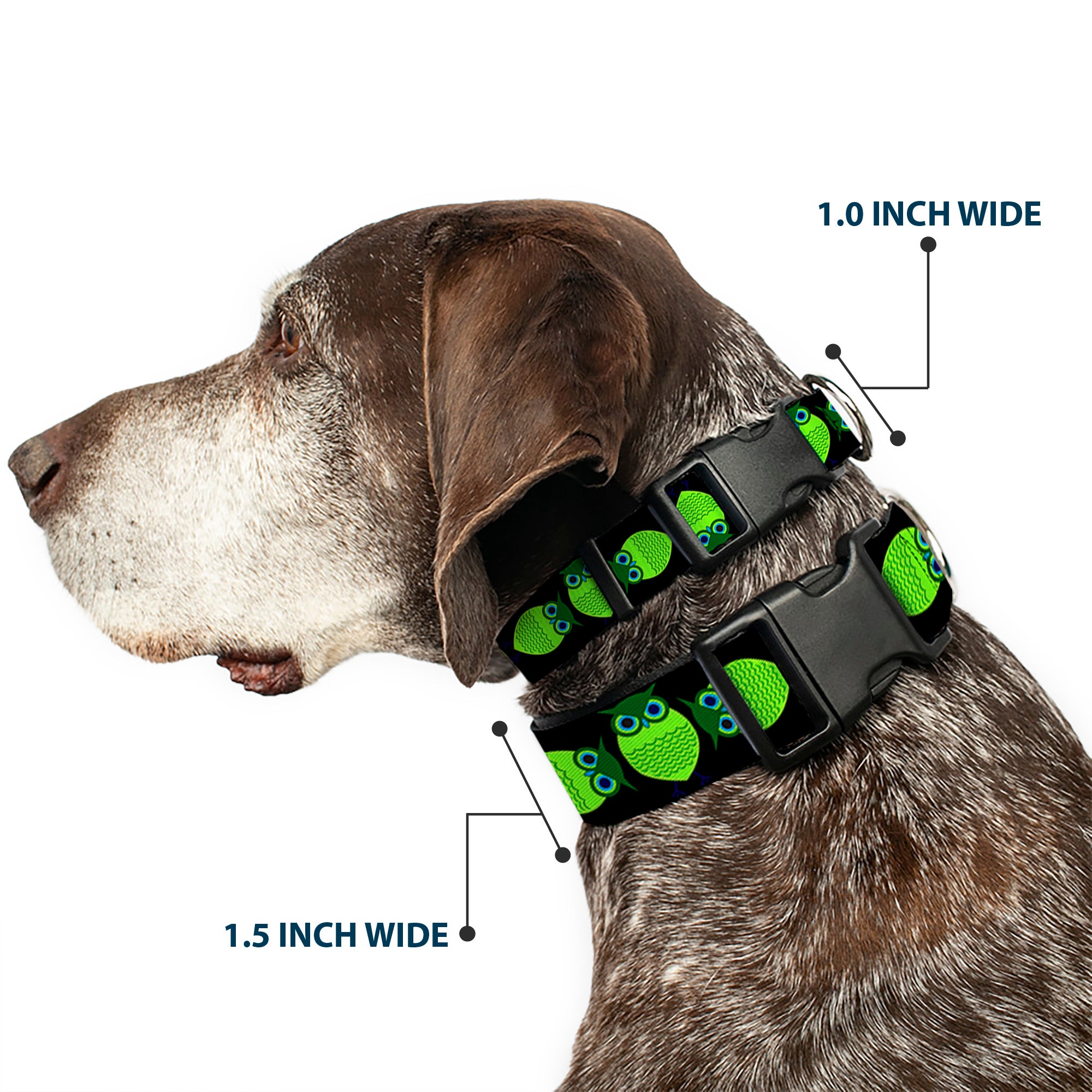 Plastic Clip Collar - Owls Spin Black/Green Plastic Clip Collars Buckle-Down