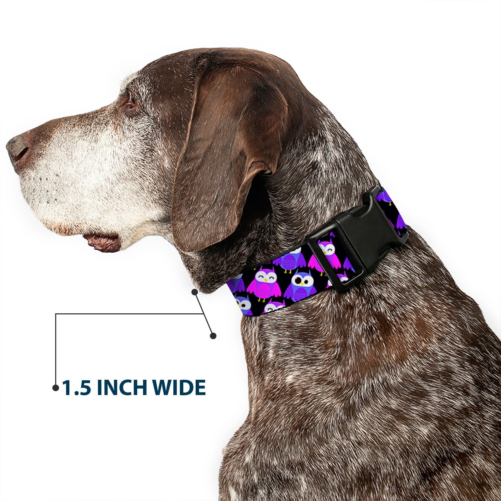 Plastic Clip Collar - Owl Eyes Black/Purples/Pinks Plastic Clip Collars Buckle-Down