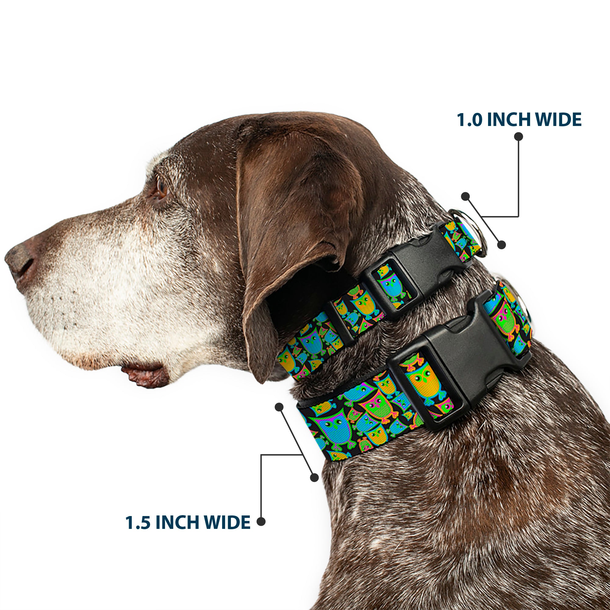 Plastic Clip Collar - Owls w/Outline Black/Multi Neon Plastic Clip Collars Buckle-Down